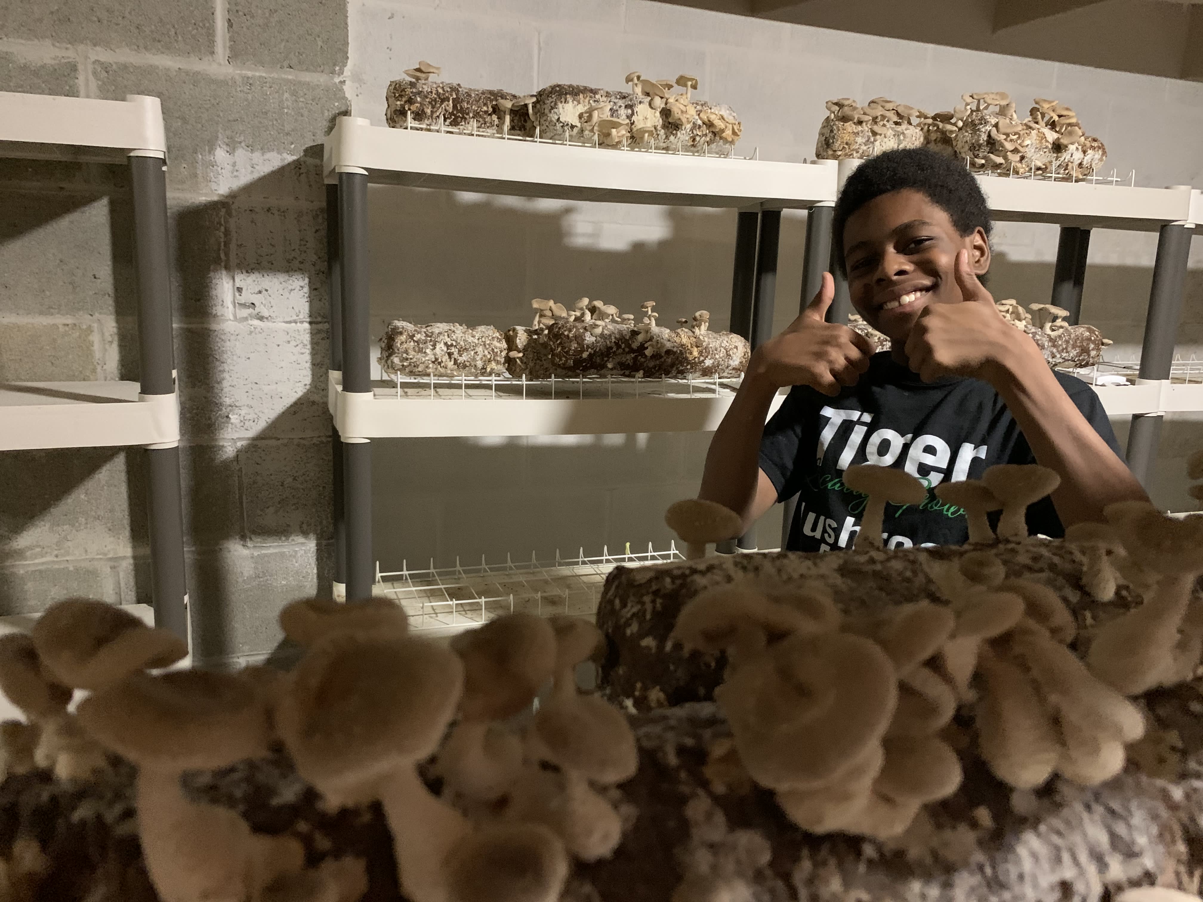 Two Men and a Little Farm: DEHYDRATING MUSHROOMS