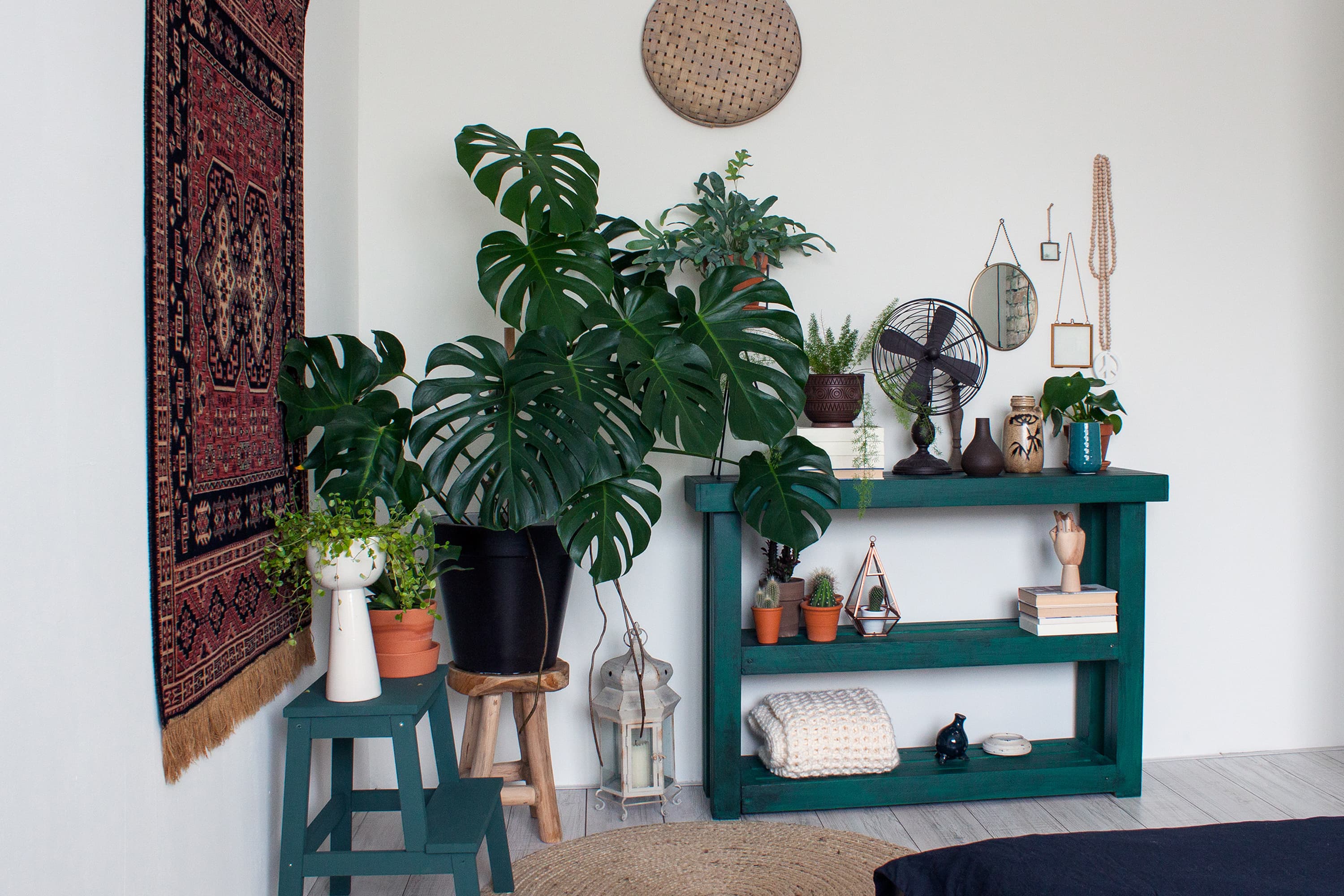 Plant Stylists Offer Genius Houseplant Tips | Apartment Therapy