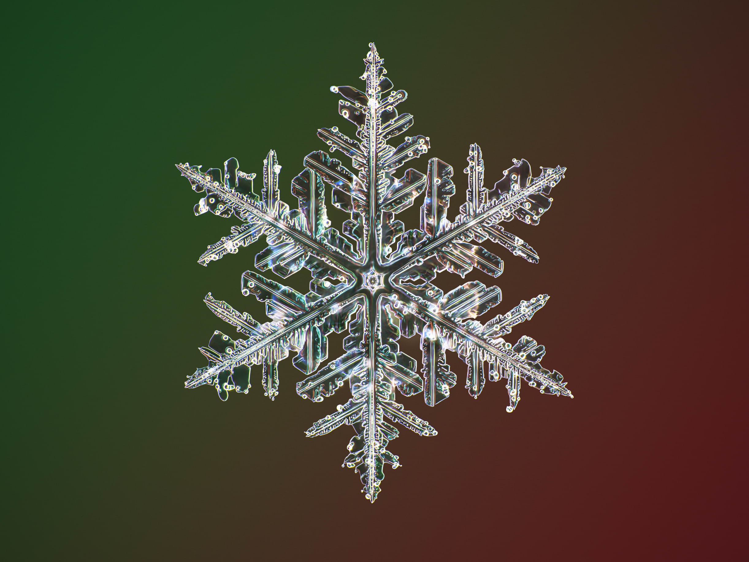 R H lifestyle Snowflake Design 1 Fancy Anywhere