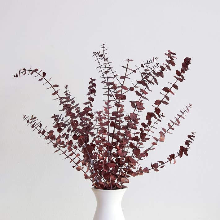 Embrace Sustainability With Dried Flowers
