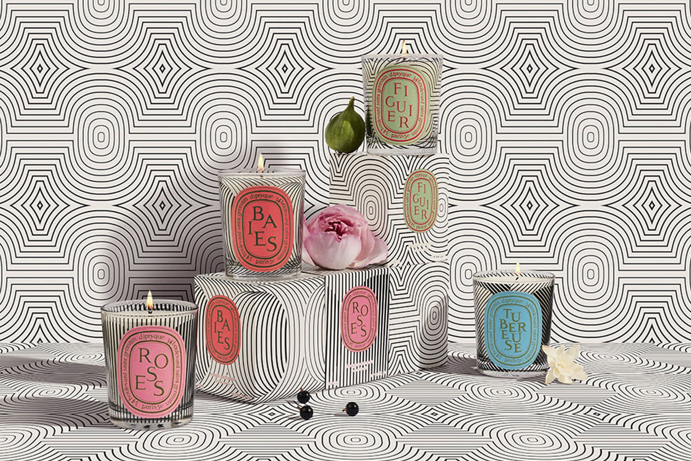 NEW NIB LMT EDT DIPTYQUE Dancing Ovals Graphic orders Collection 2021 FIGUIER 190g