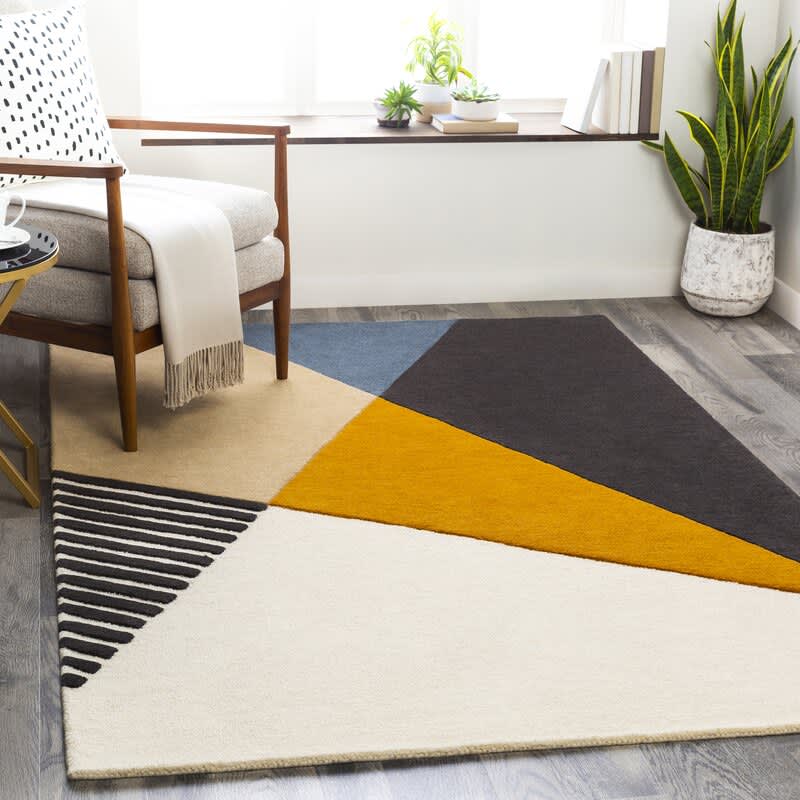 5 Best Rugs For Pets Top Pet Friendly Rugs Apartment Therapy