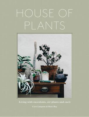 cast iron plant sale Cast Iron  michaelsnursery