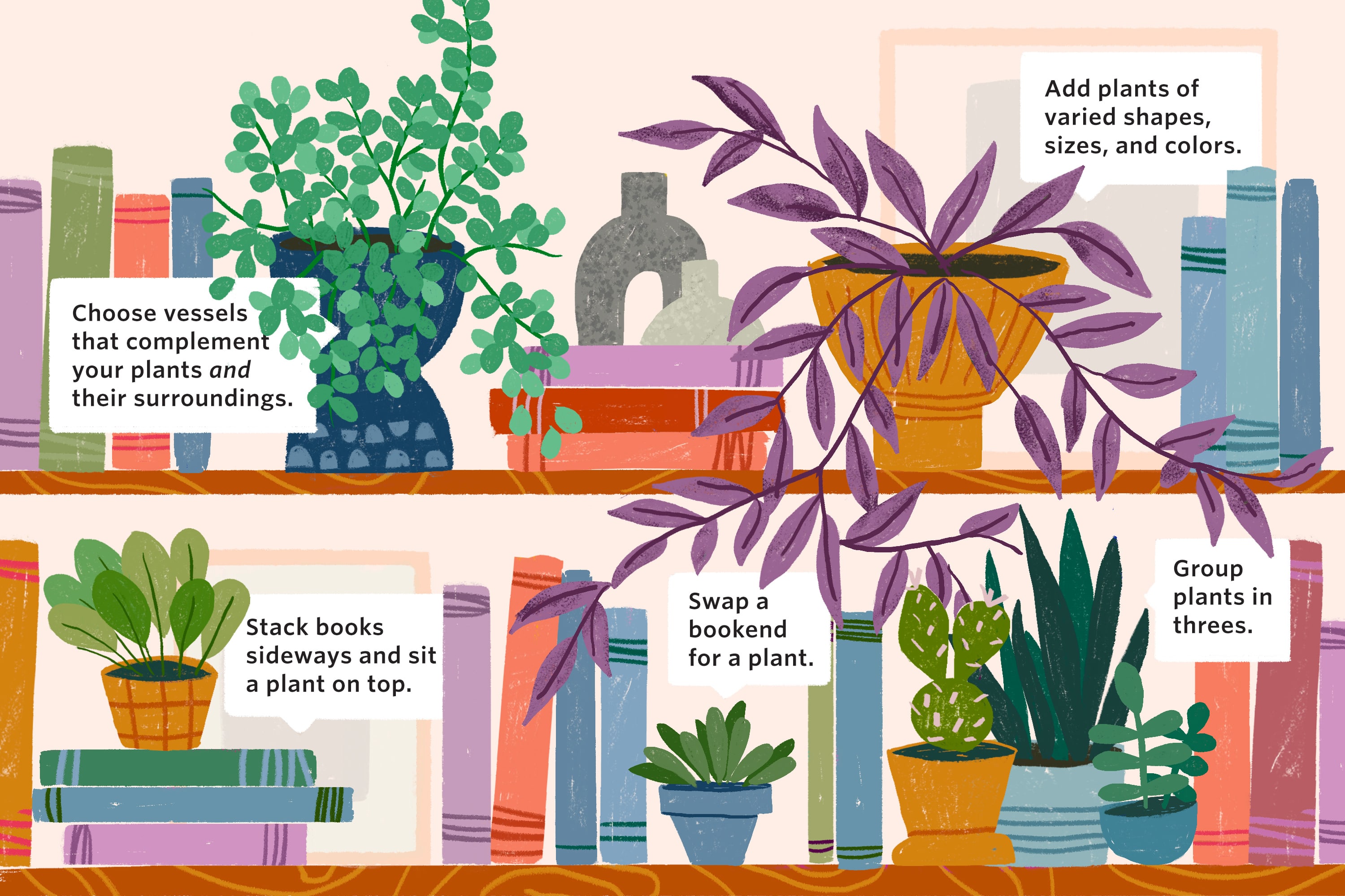 How to Style a Bookshelf with Plants