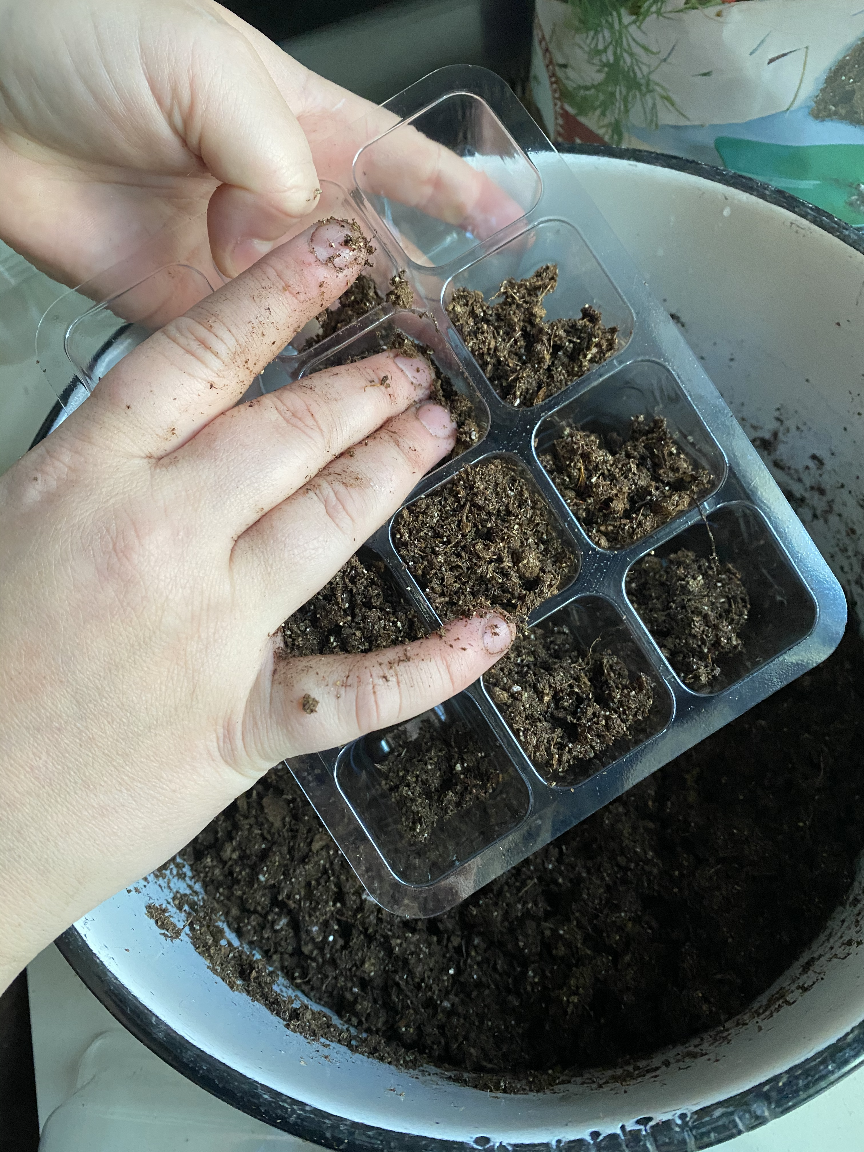The Best Way to Easily Organize & Store Seeds - Smiling Soil