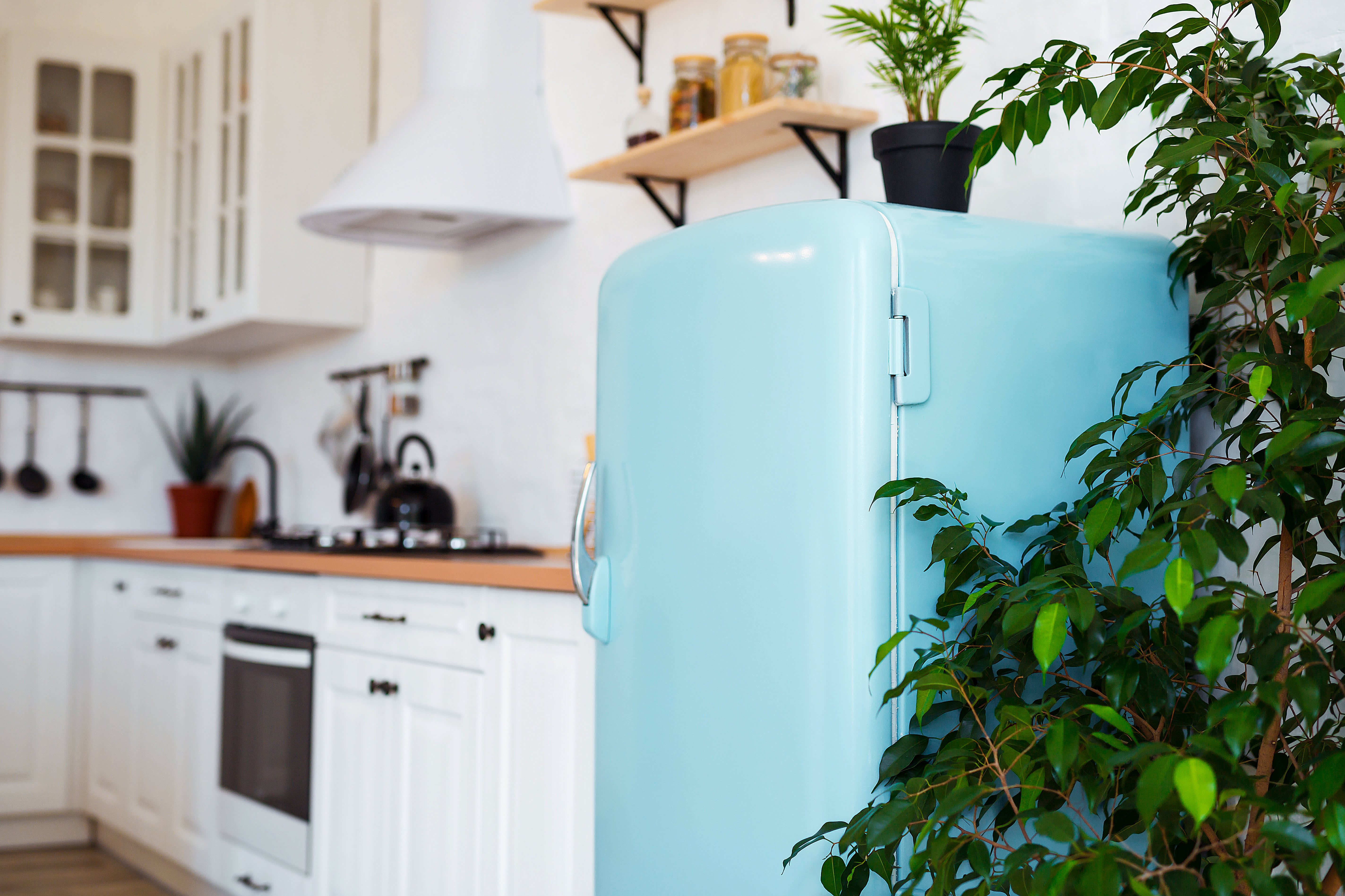 5 Mistakes to Avoid When Painting Your Kitchen Appliances The