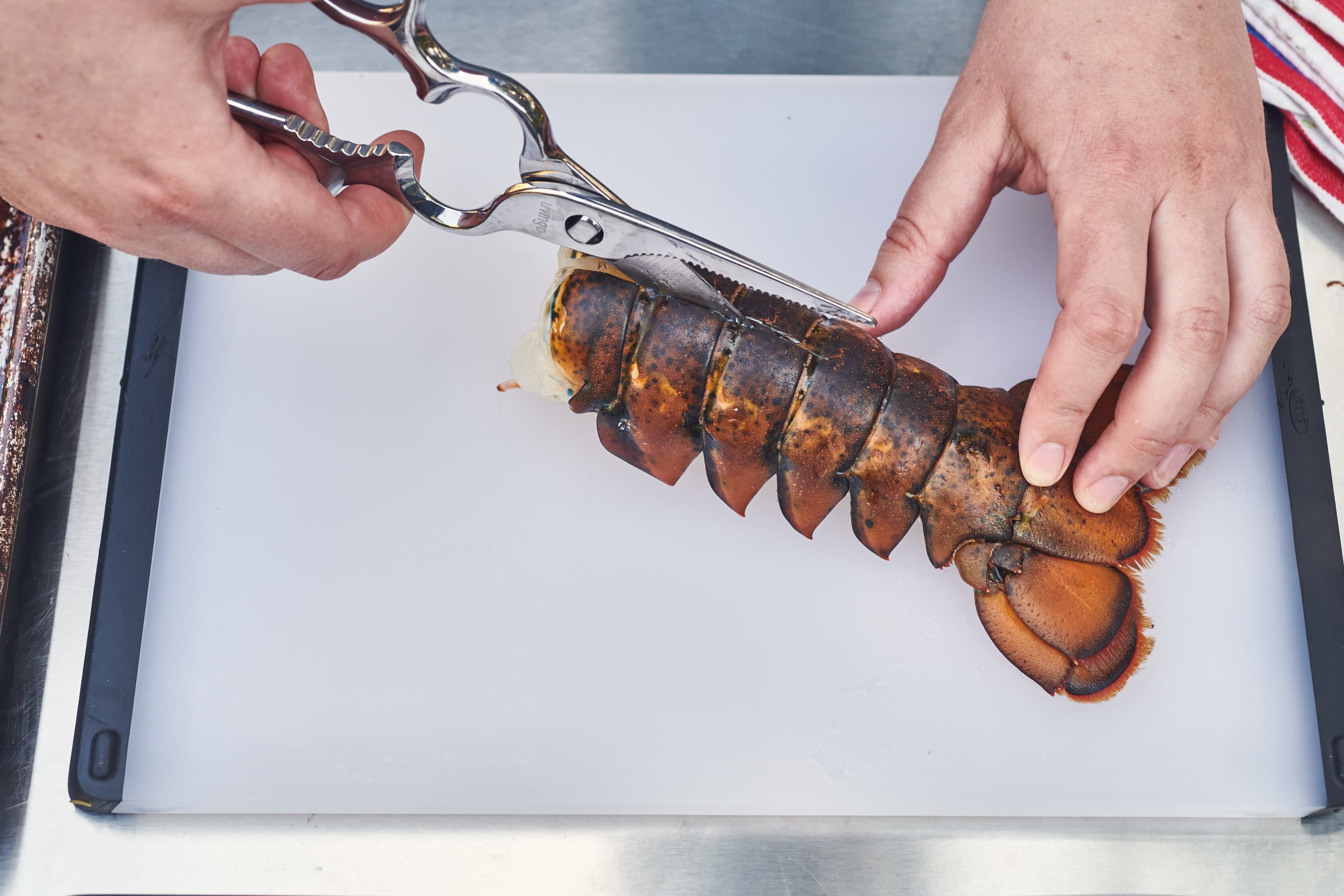 How To Cut Lobster Tail Like A Boss – Dalstrong