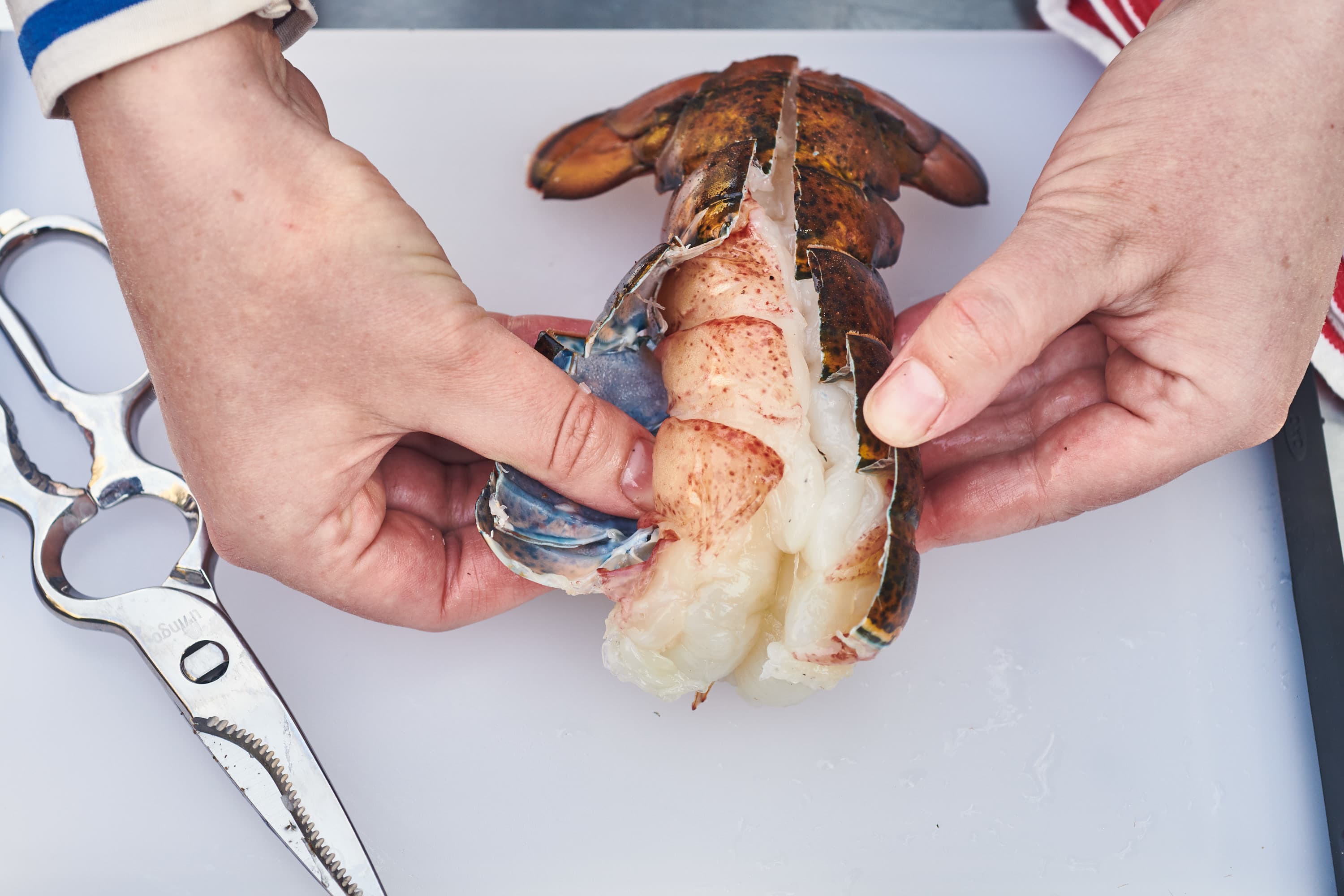 How To Cut Lobster Tail Like A Boss – Dalstrong