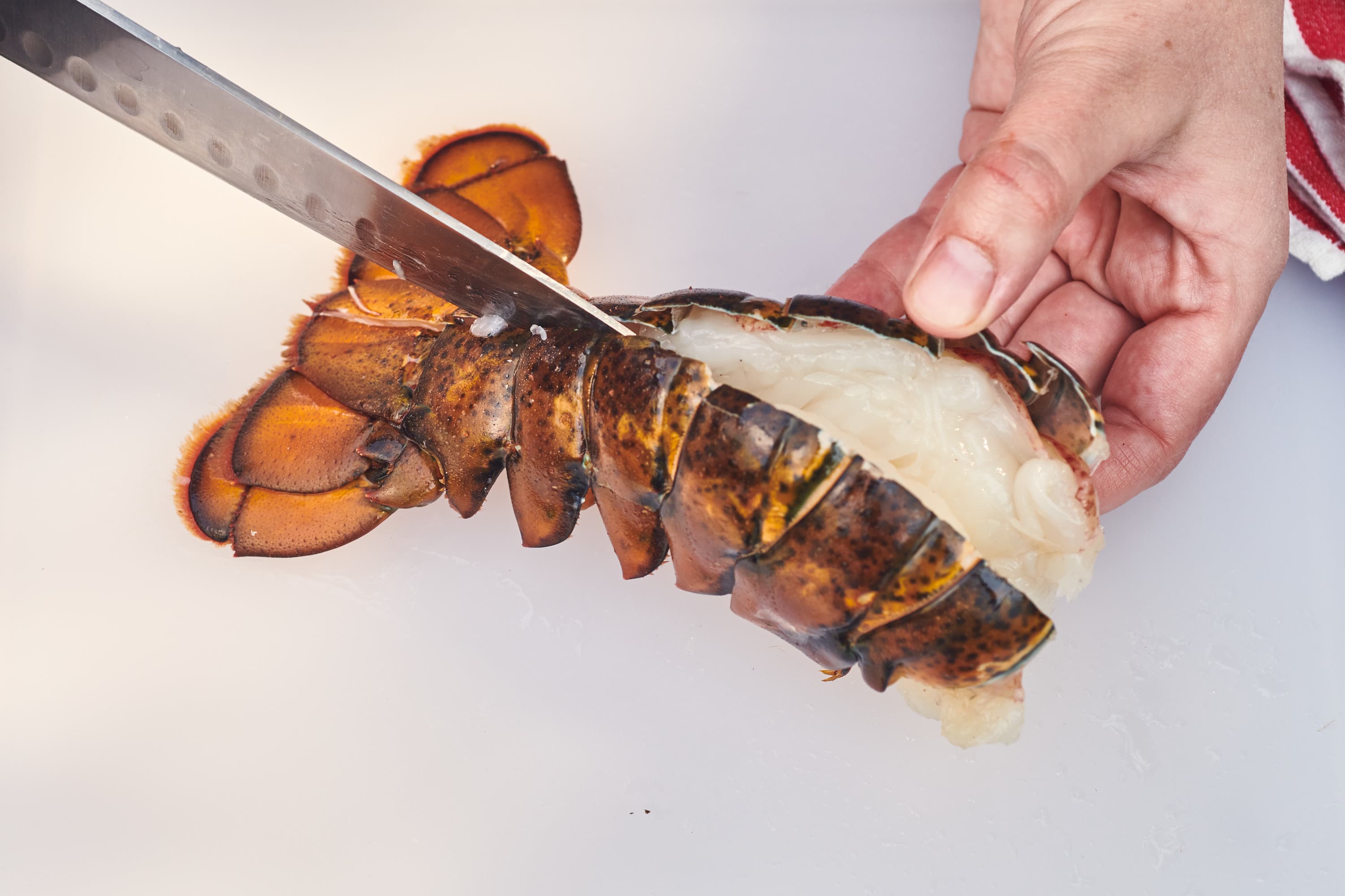 How To Cut Lobster Tail Like A Boss – Dalstrong