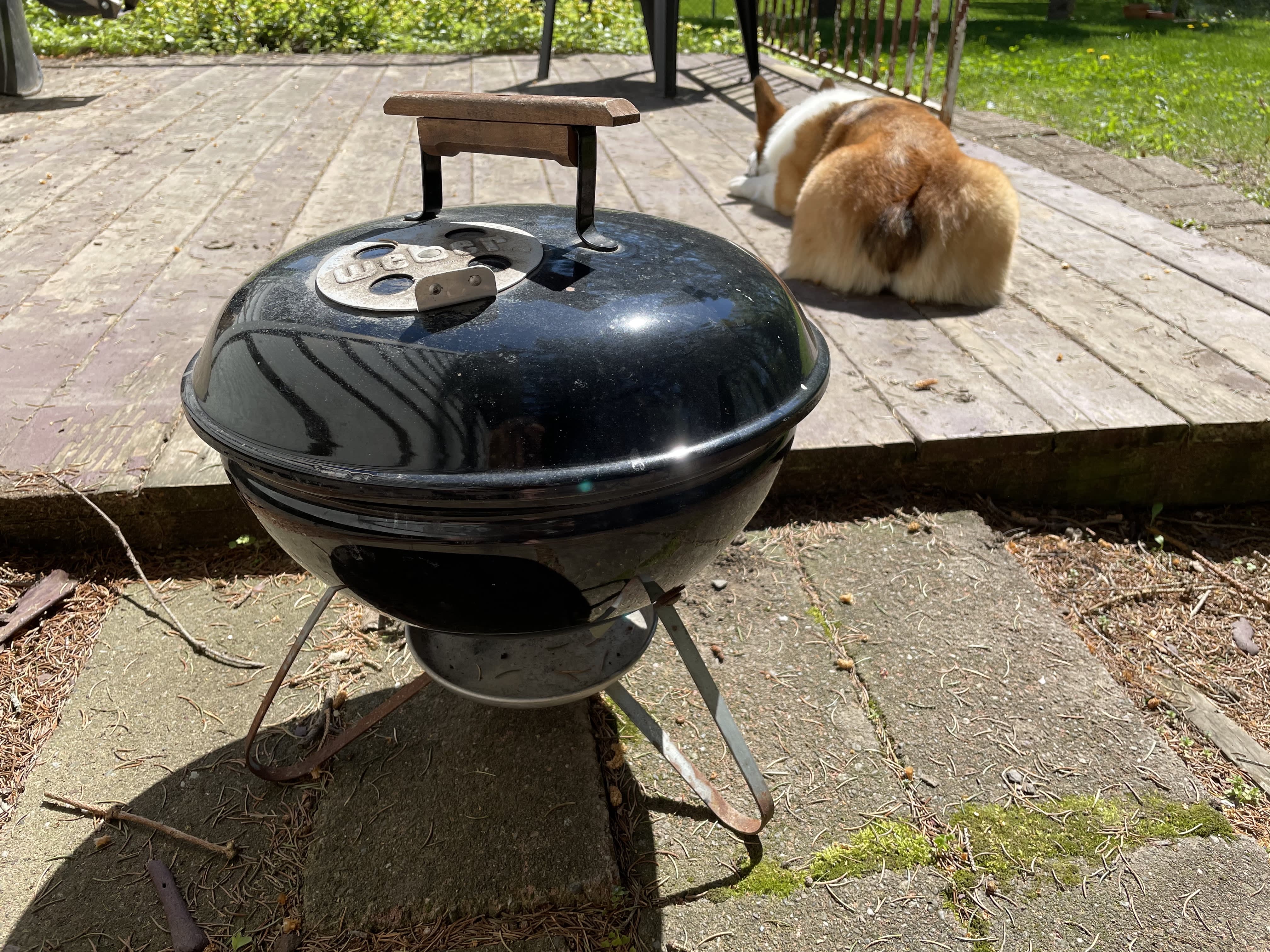 Weber Joe Portable Charcoal Grill Review The Kitchn