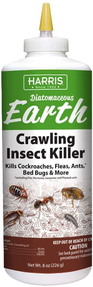 Common Cockroach Killers: Facts and Myths