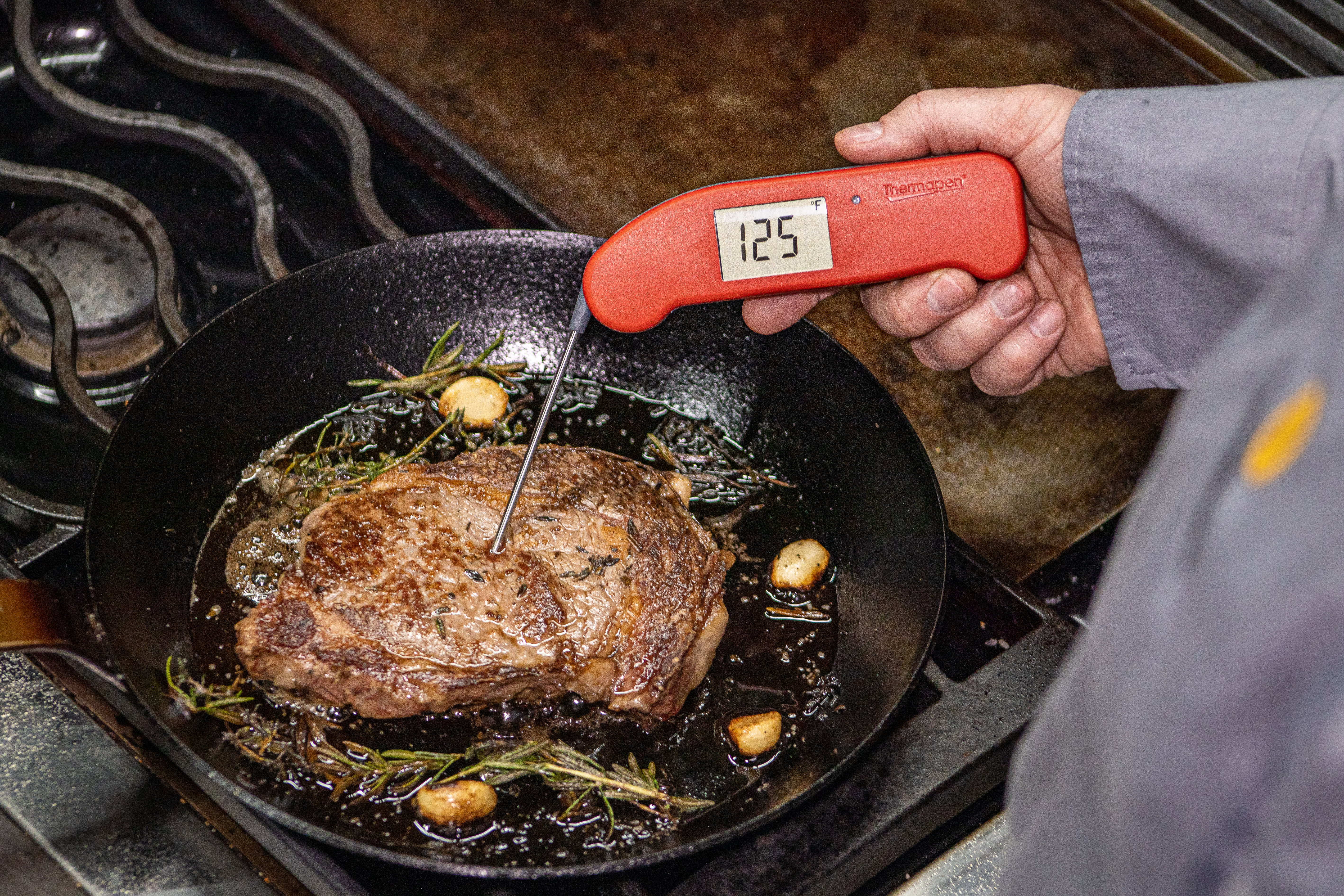 Thermoworks Thermapen One Deal: 20% Off the Best Meat Thermometer