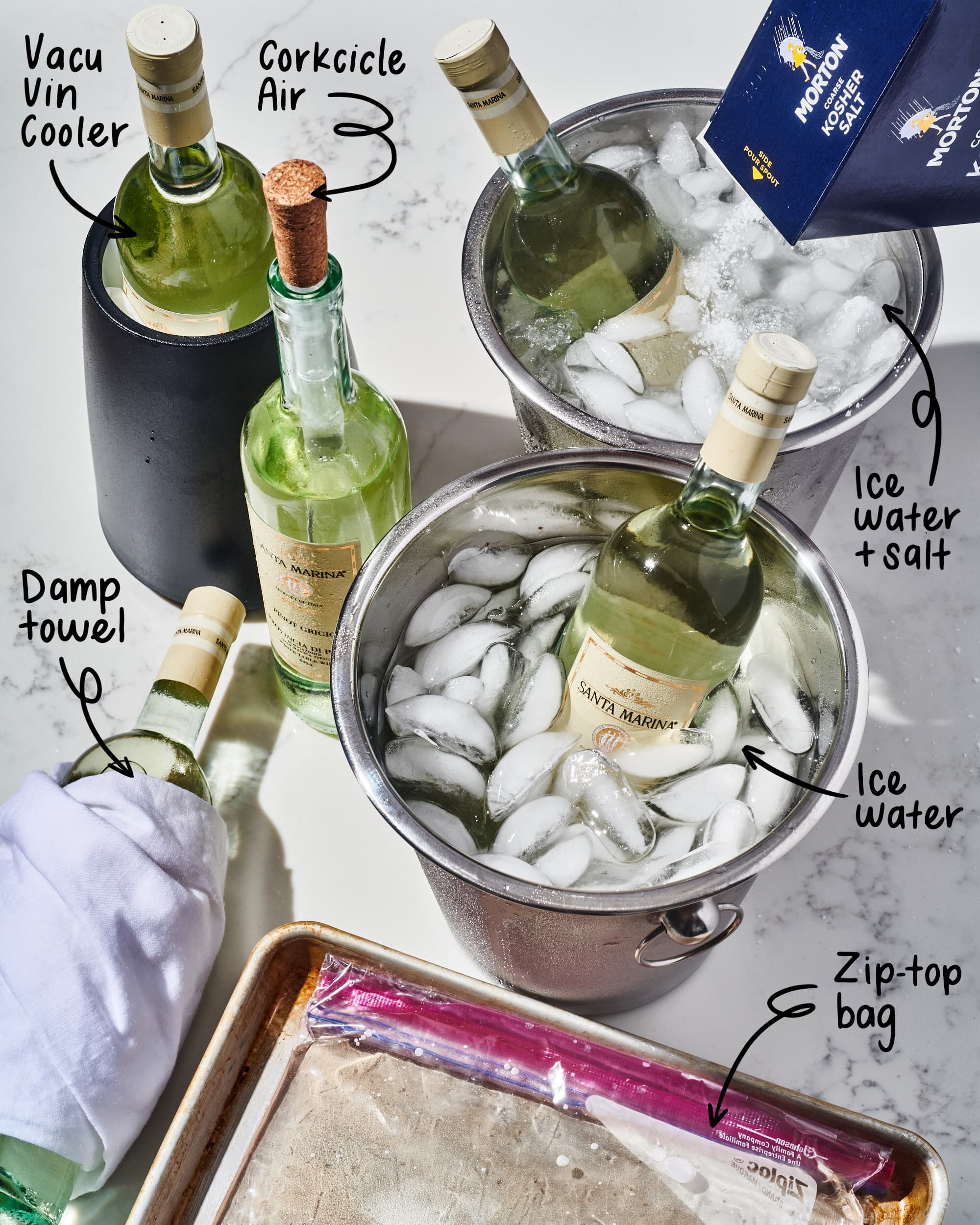 Fancy Wine Chiller Ice Mold