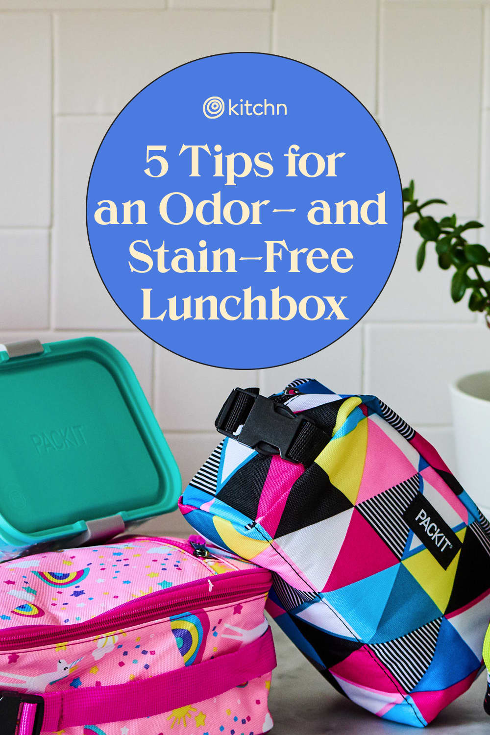 5 Proven Tips to Get Your Child's Lunch Box Odor- and Stain-Free
