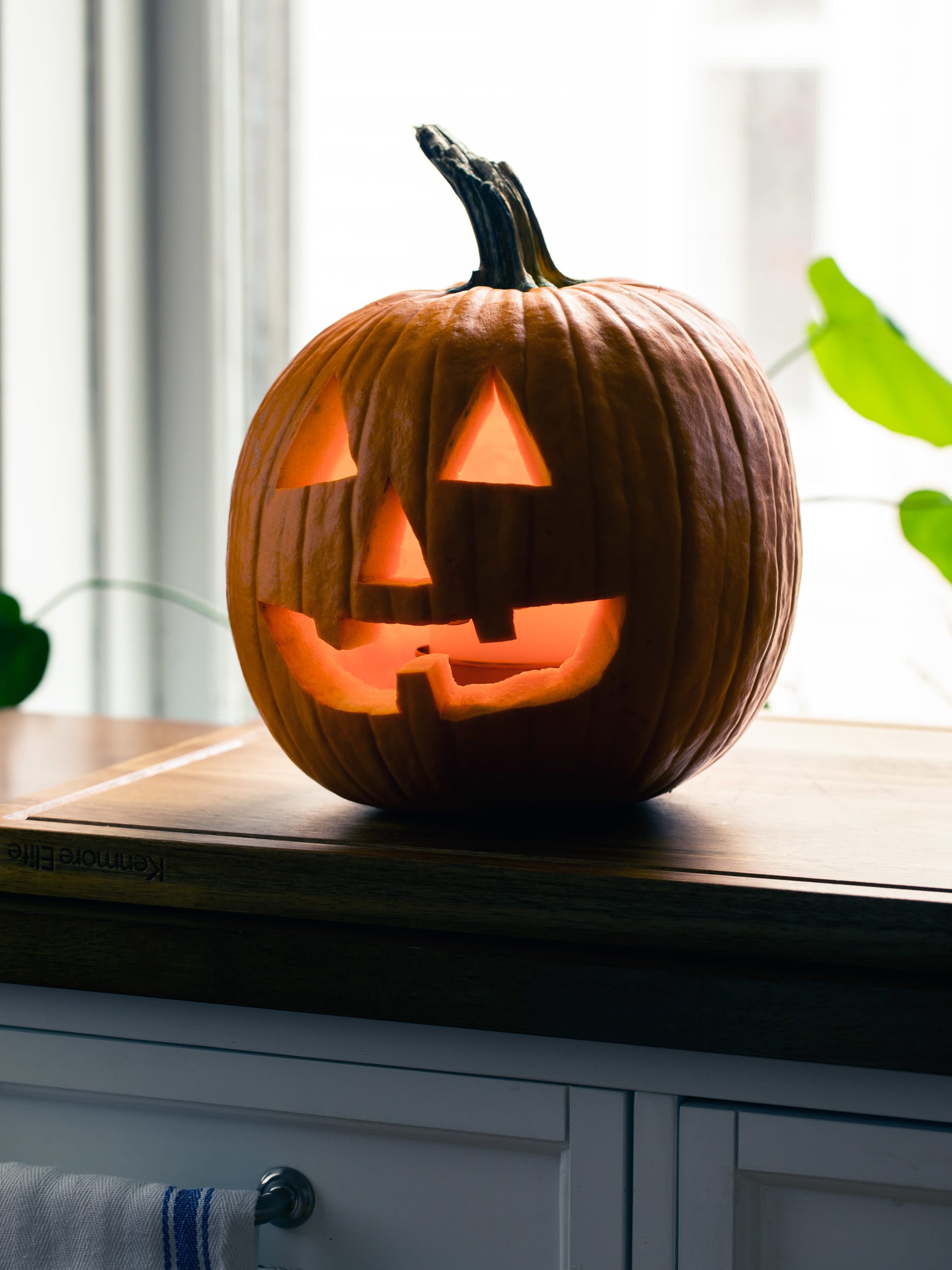 Simple shop pumpkin carving