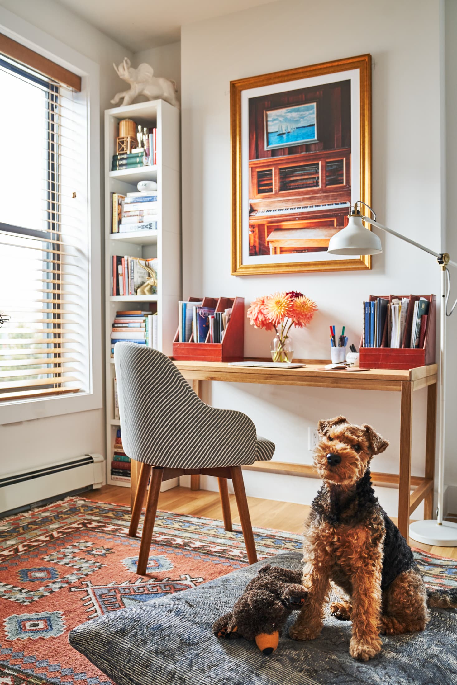 Five practical tips for pet proofing your home - RugPadUSA