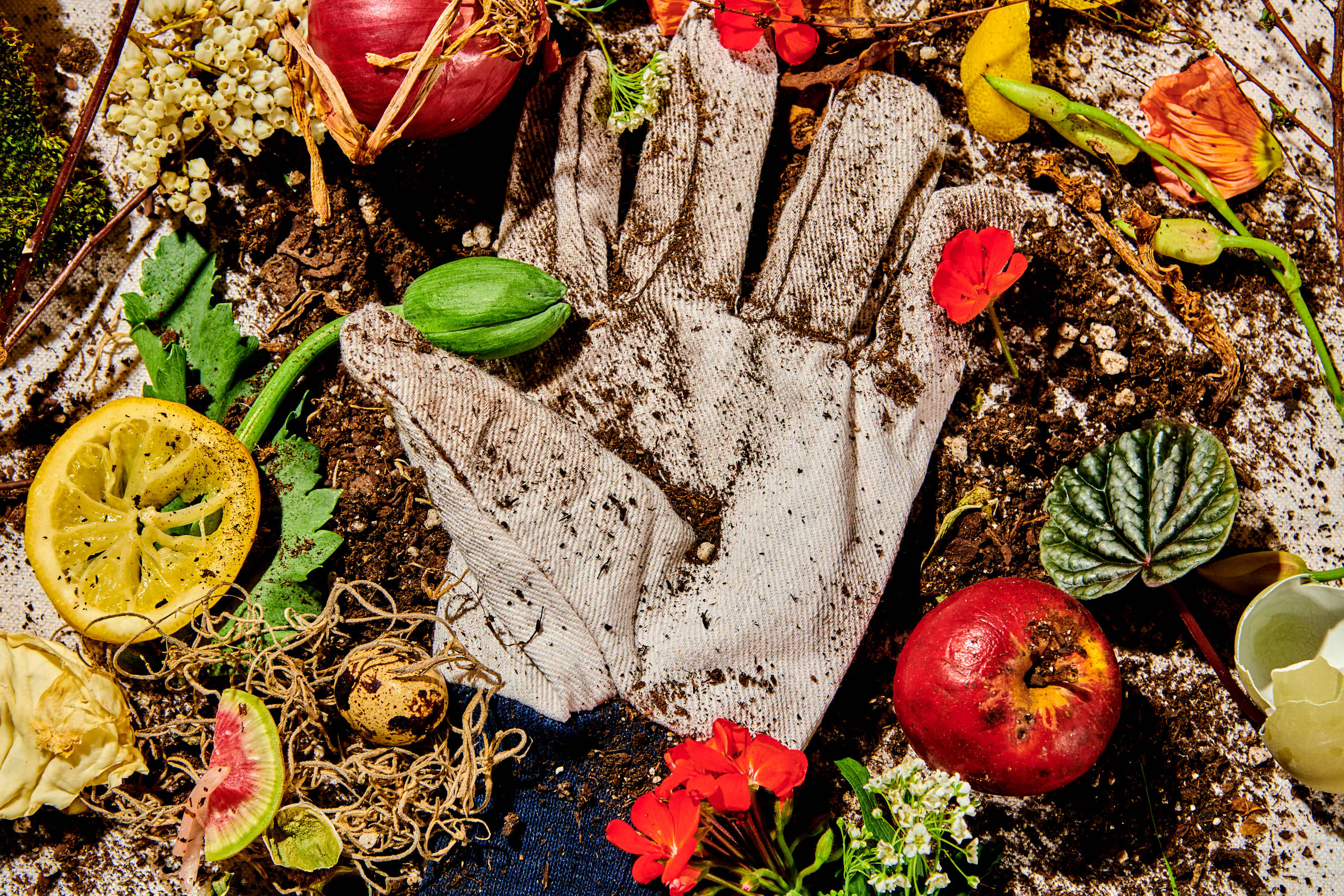 How To Compost At Home FAQ - Honestly Modern
