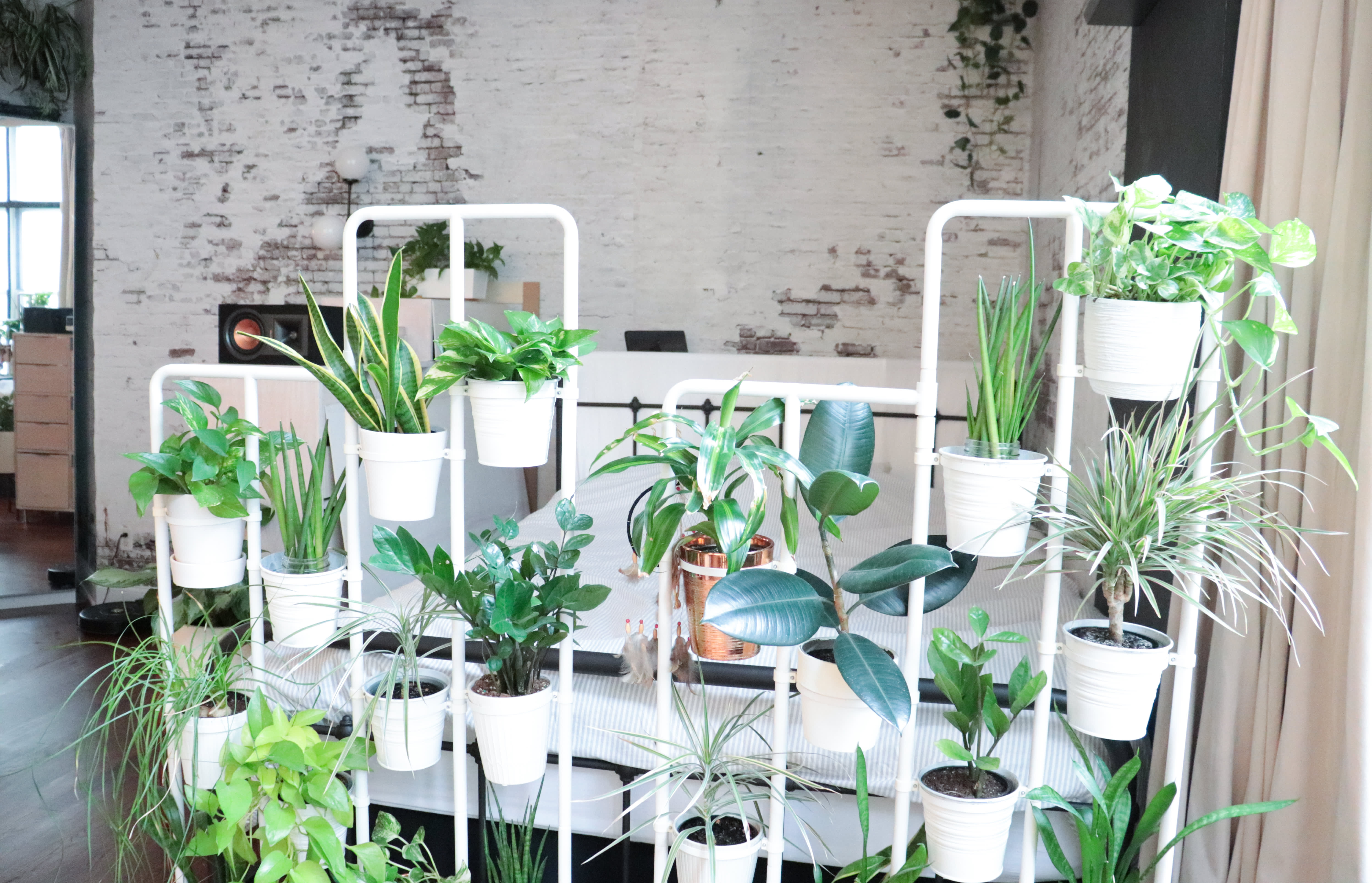 A TikToker Made a Greenhouse Out of an IKEA Cabinet | Apartment Therapy