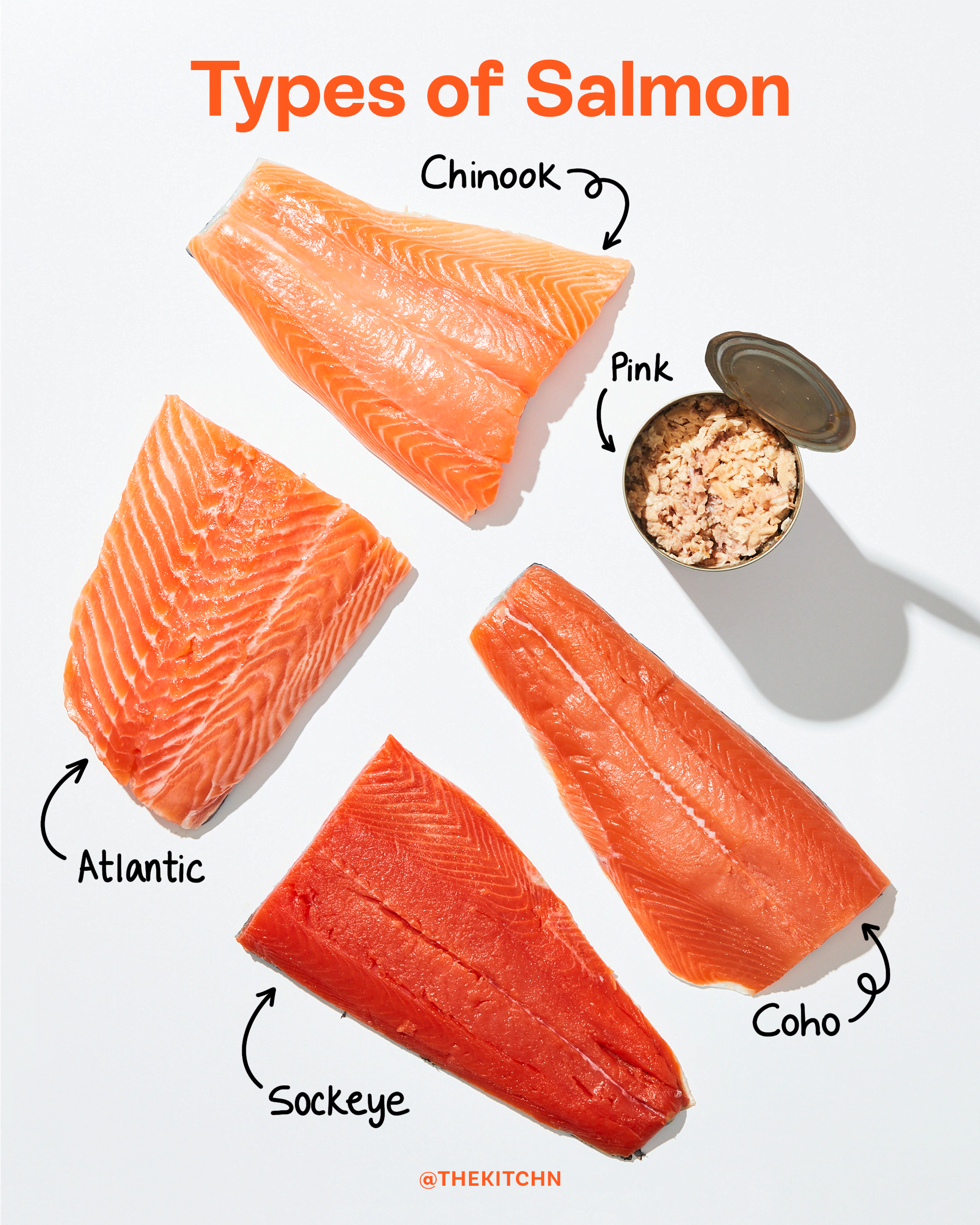 Types of Salmon: Your Go-To Guide