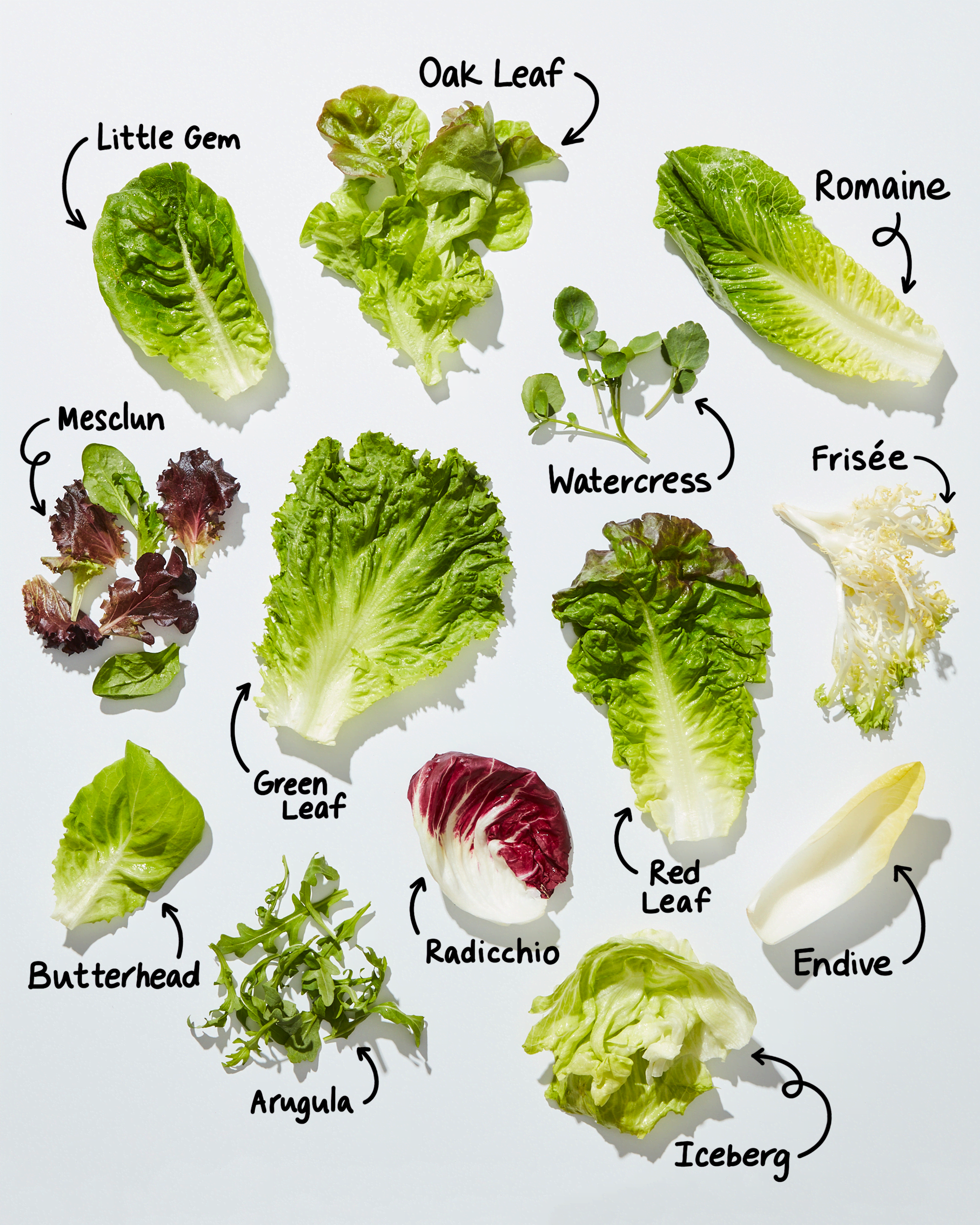 Types of Lettuce: A Visual Guide to Salad Greens | Kitchn