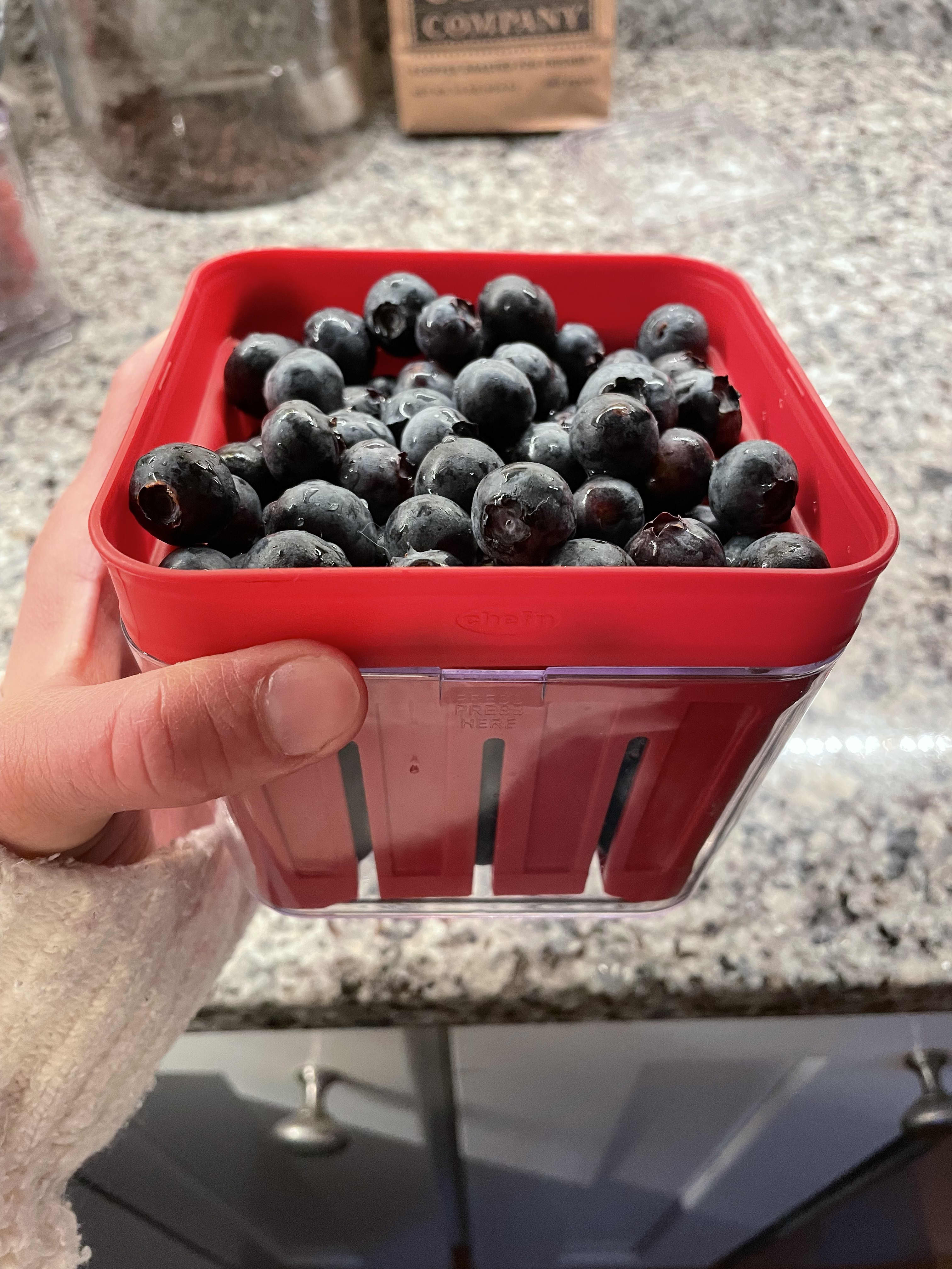 Reusable Berry Containers – Set of 2 – Farm Fresh Carolinas