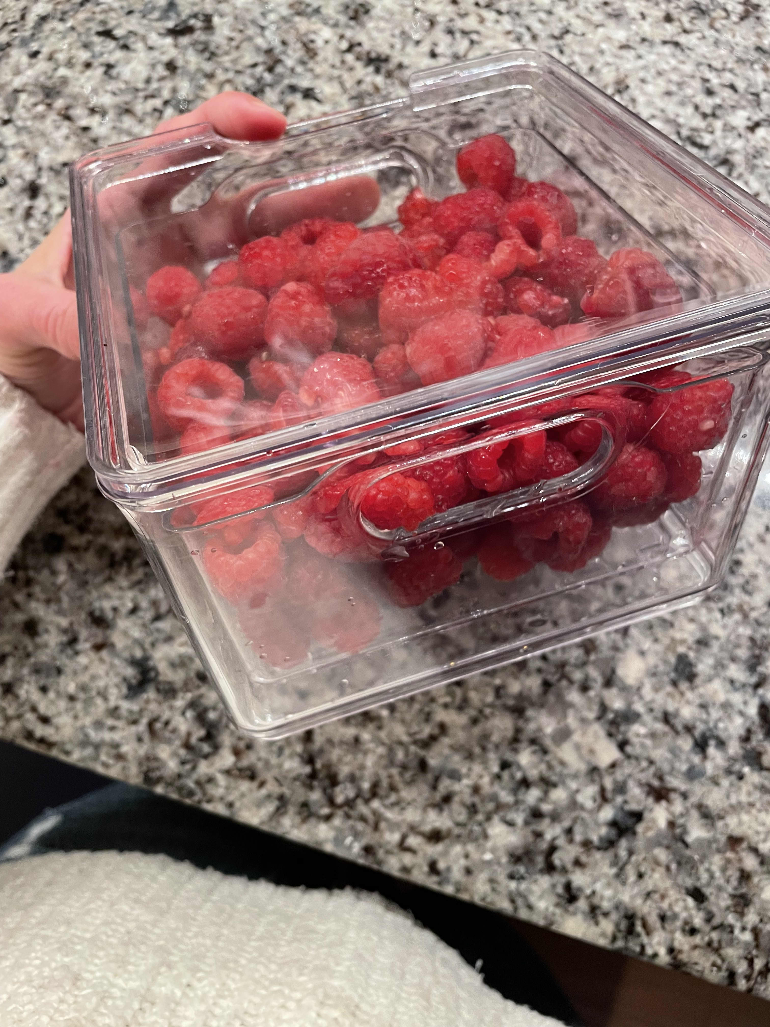 3-in-1 Berry Box Keeps Berries Fresh Longer - Saves Money and Prevents Food  Waste