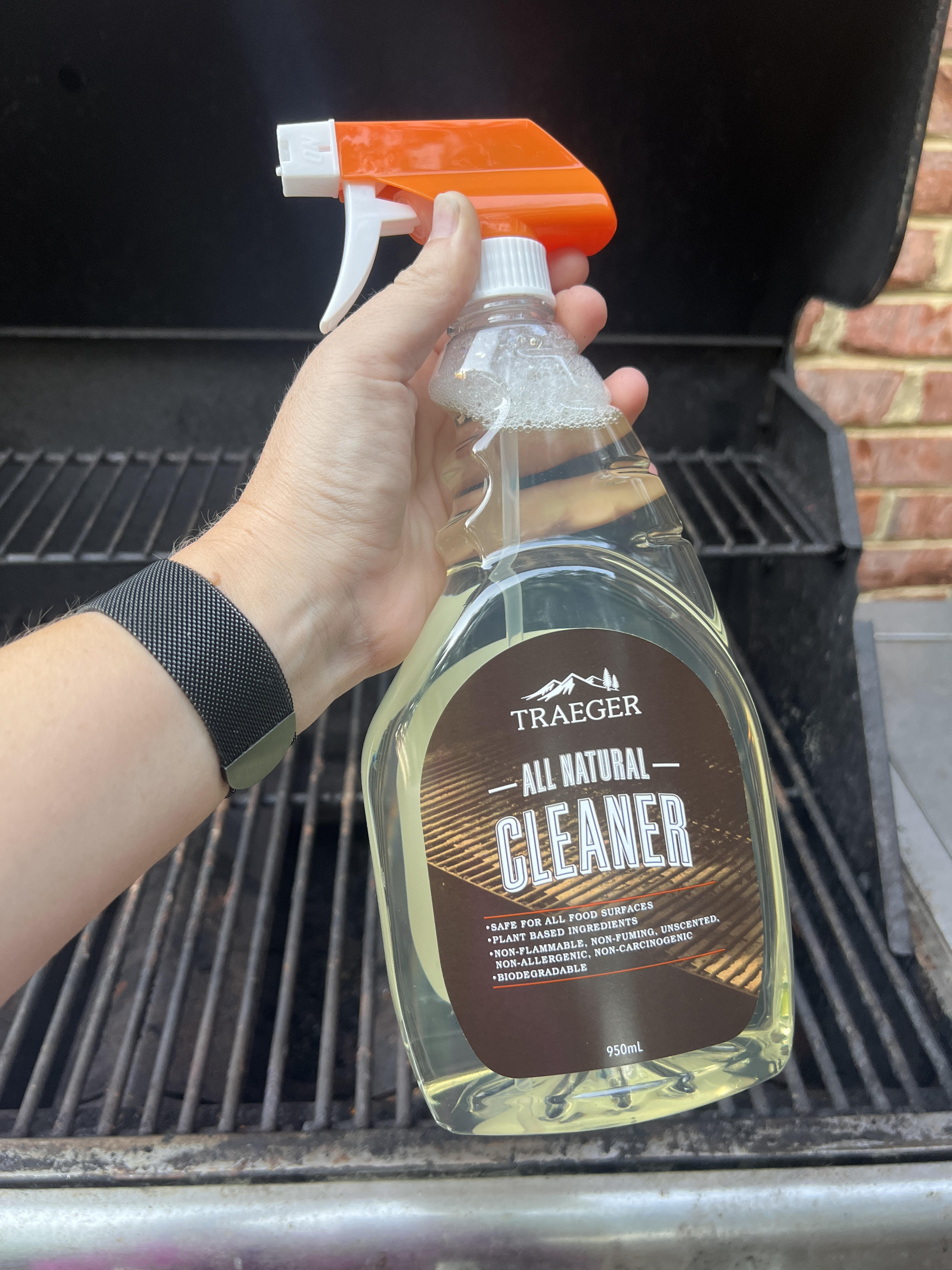 Grill Cleaner Product Showdown