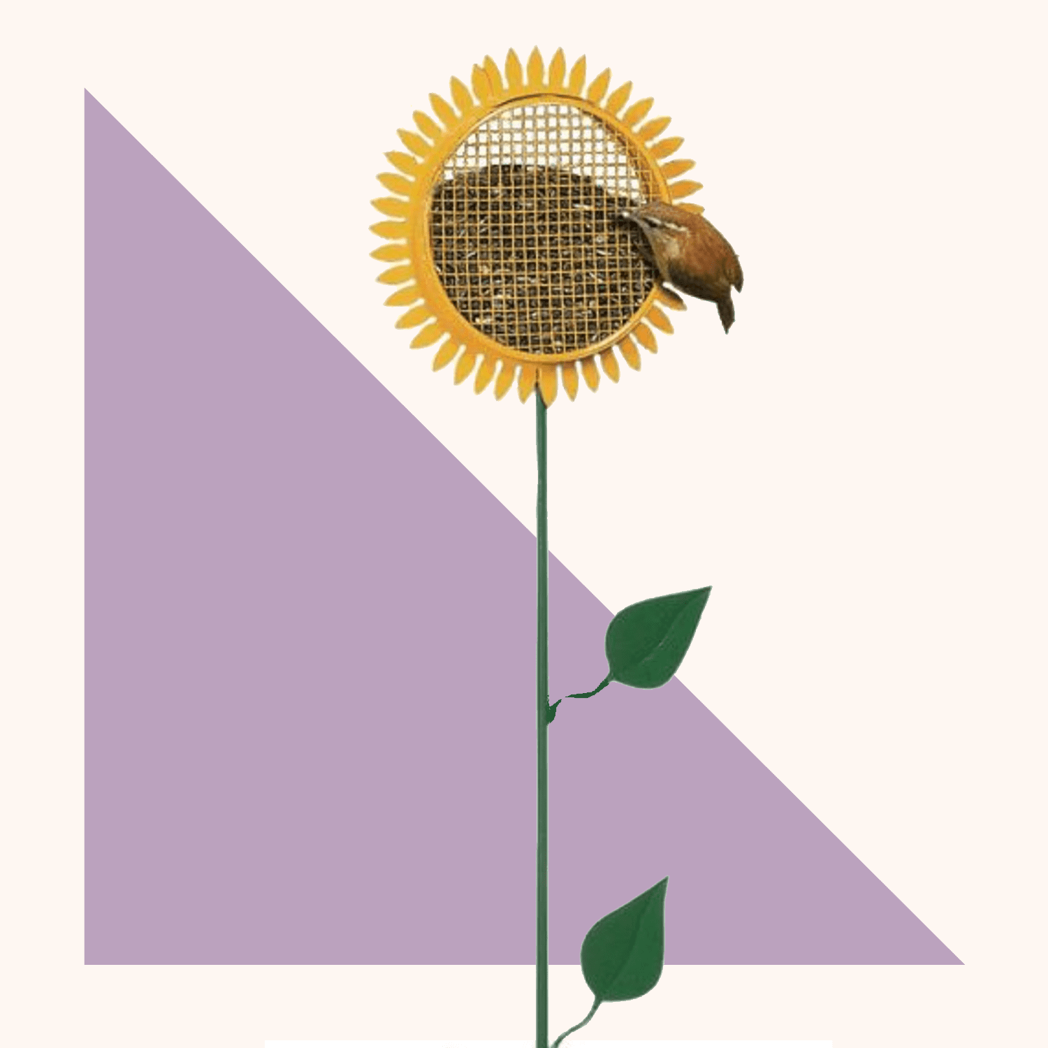 bird feeder sunflower 