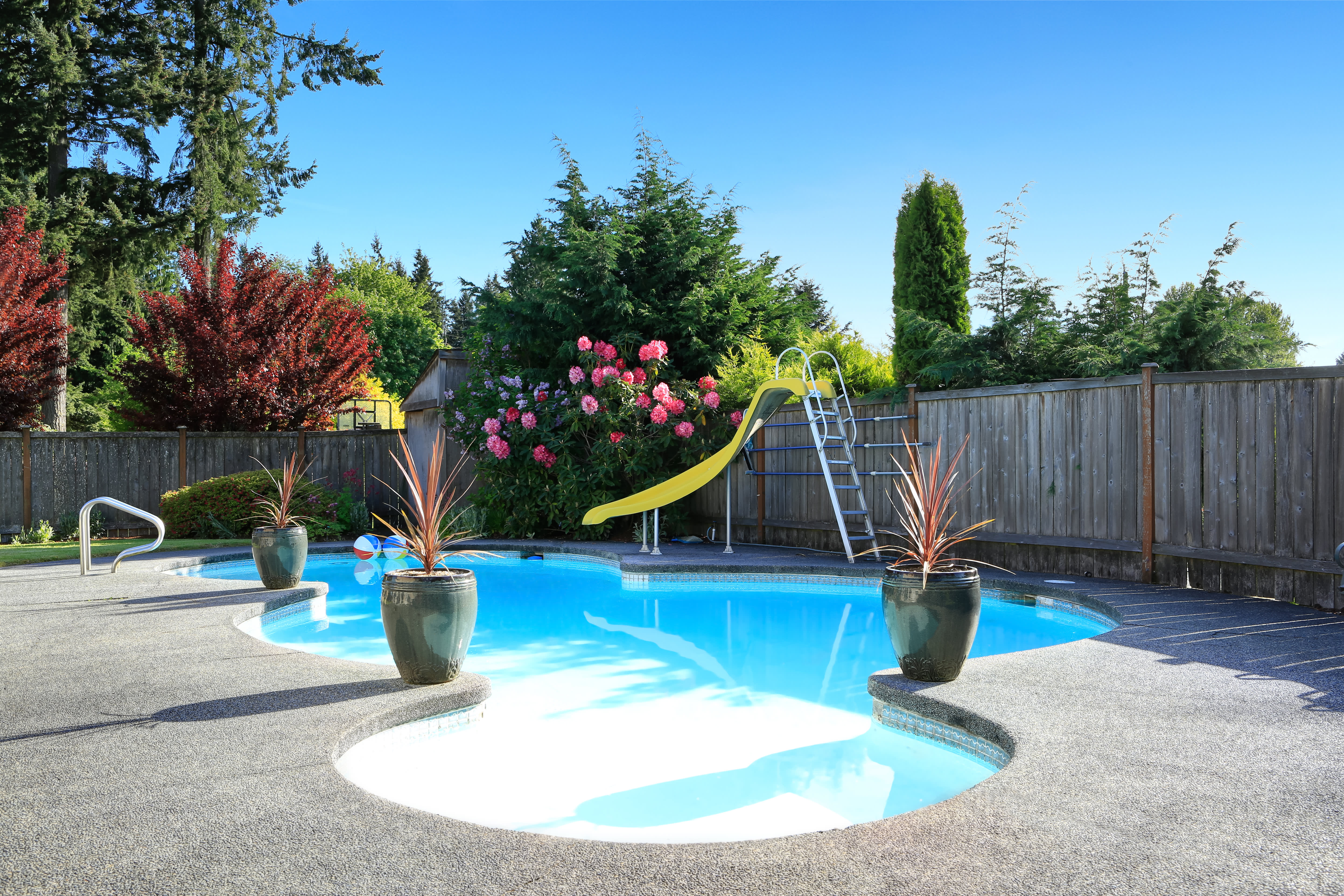 swimming pool backyard