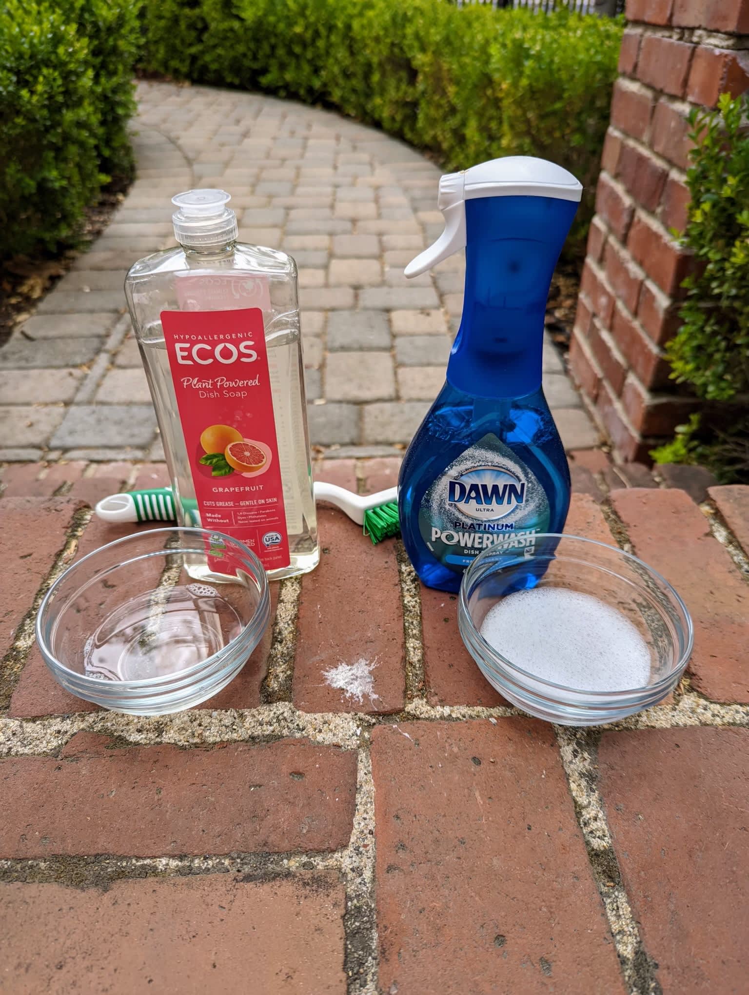 Easy Way to Clean Bird Poop Off Your Patio Pavers