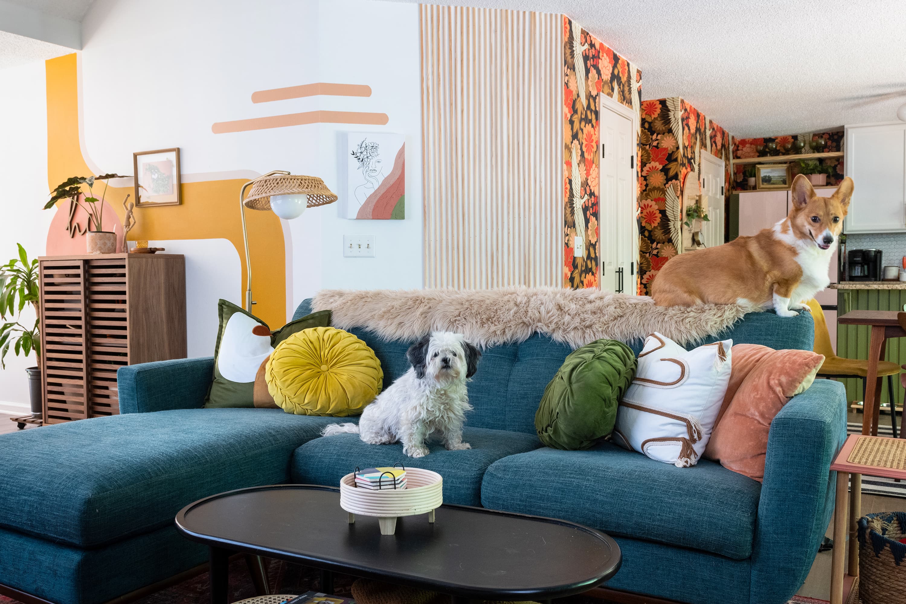 https://cdn.apartmenttherapy.info/image/upload/v1656170600/at/Ford-DIY-Makeover-Issue/megan-baker-home-shoot/dogs-diy-sofa.jpg