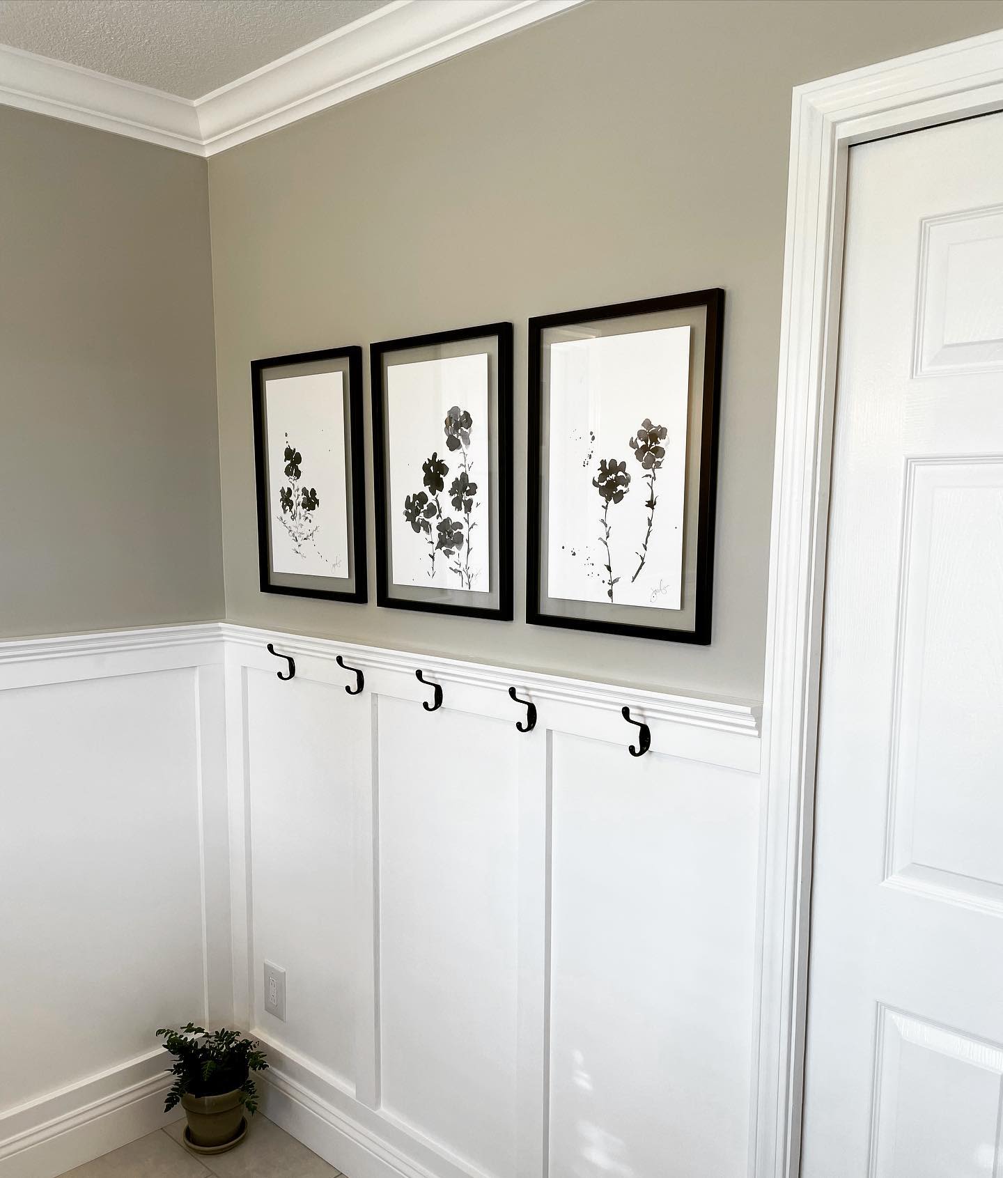 Wainscoting ideas for cozy and sophisticated home interiors