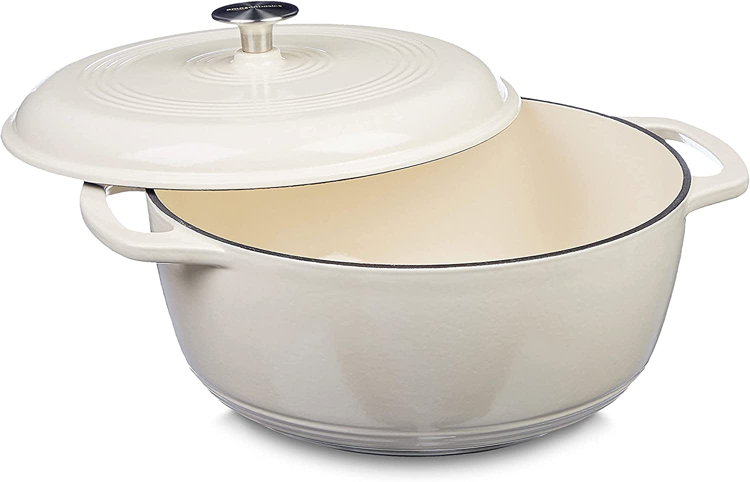 Basics Dutch Oven  In-Depth Review — Eightify