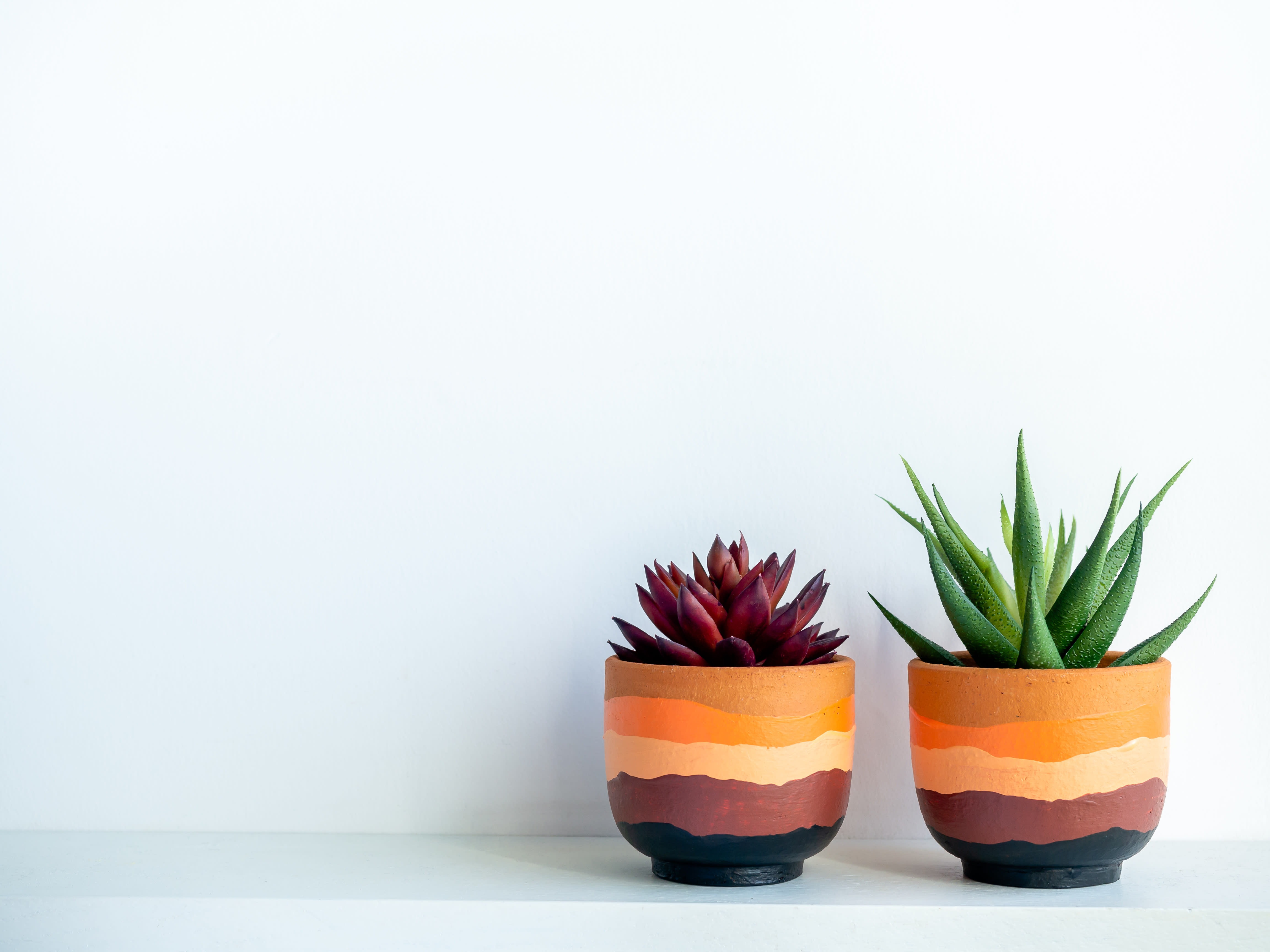 Snazzy Painted Planter Pots