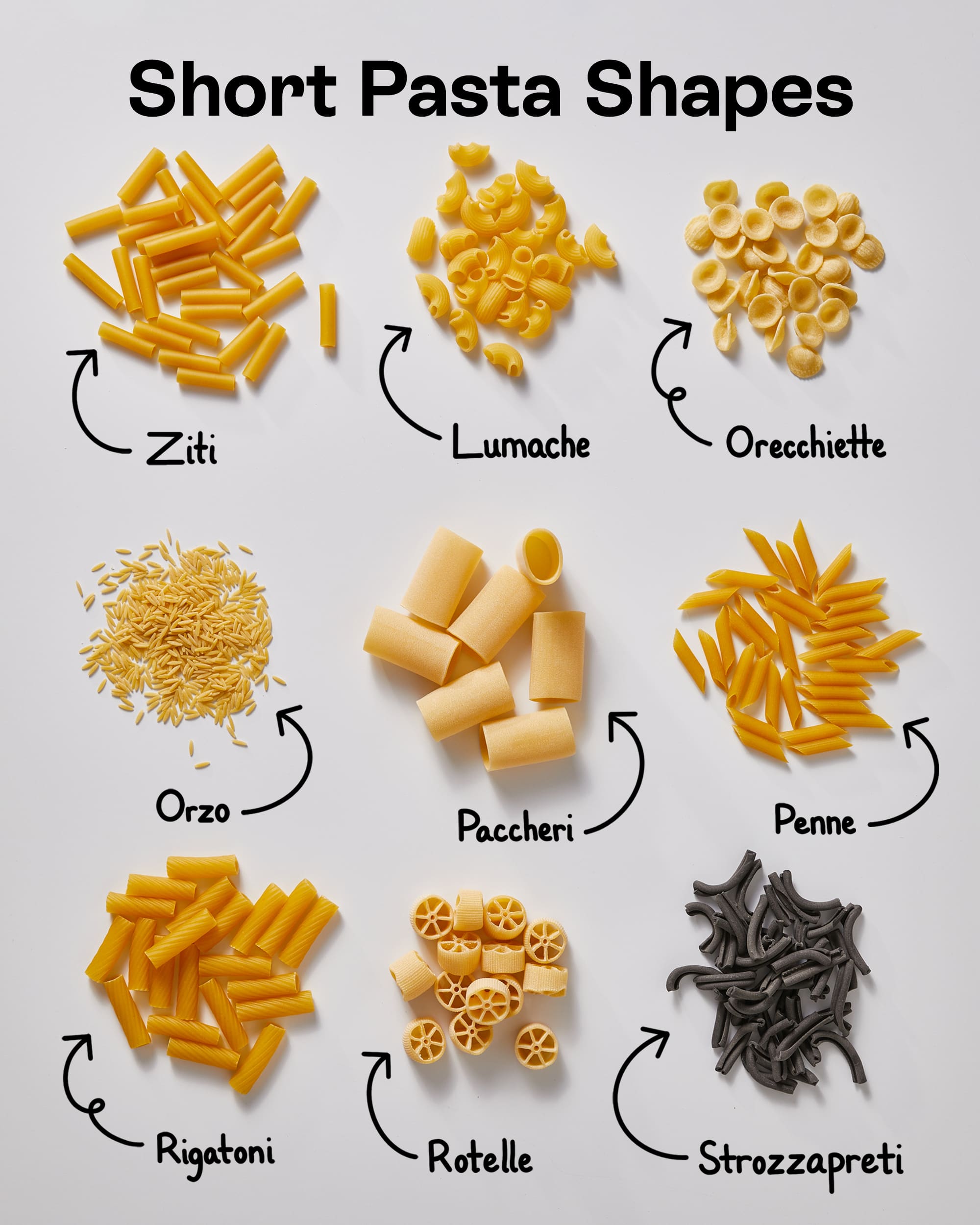 Esitellä 61+ imagen types of pasta shapes
