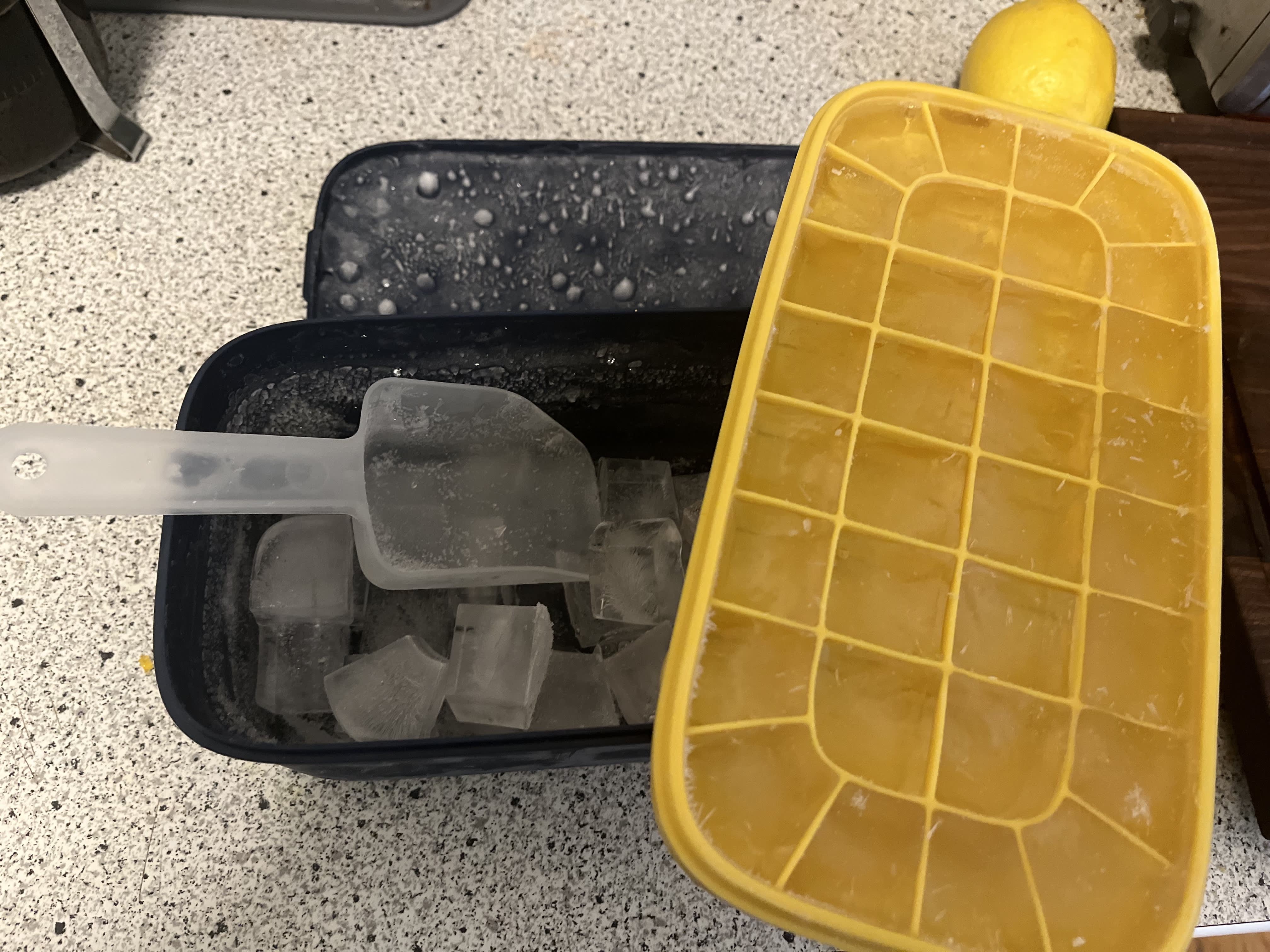 Ice Cube Bin Scoop Trays - Use It as a Portable Box in the Freezer,  Shelves, Pantry: Home & Kitchen 