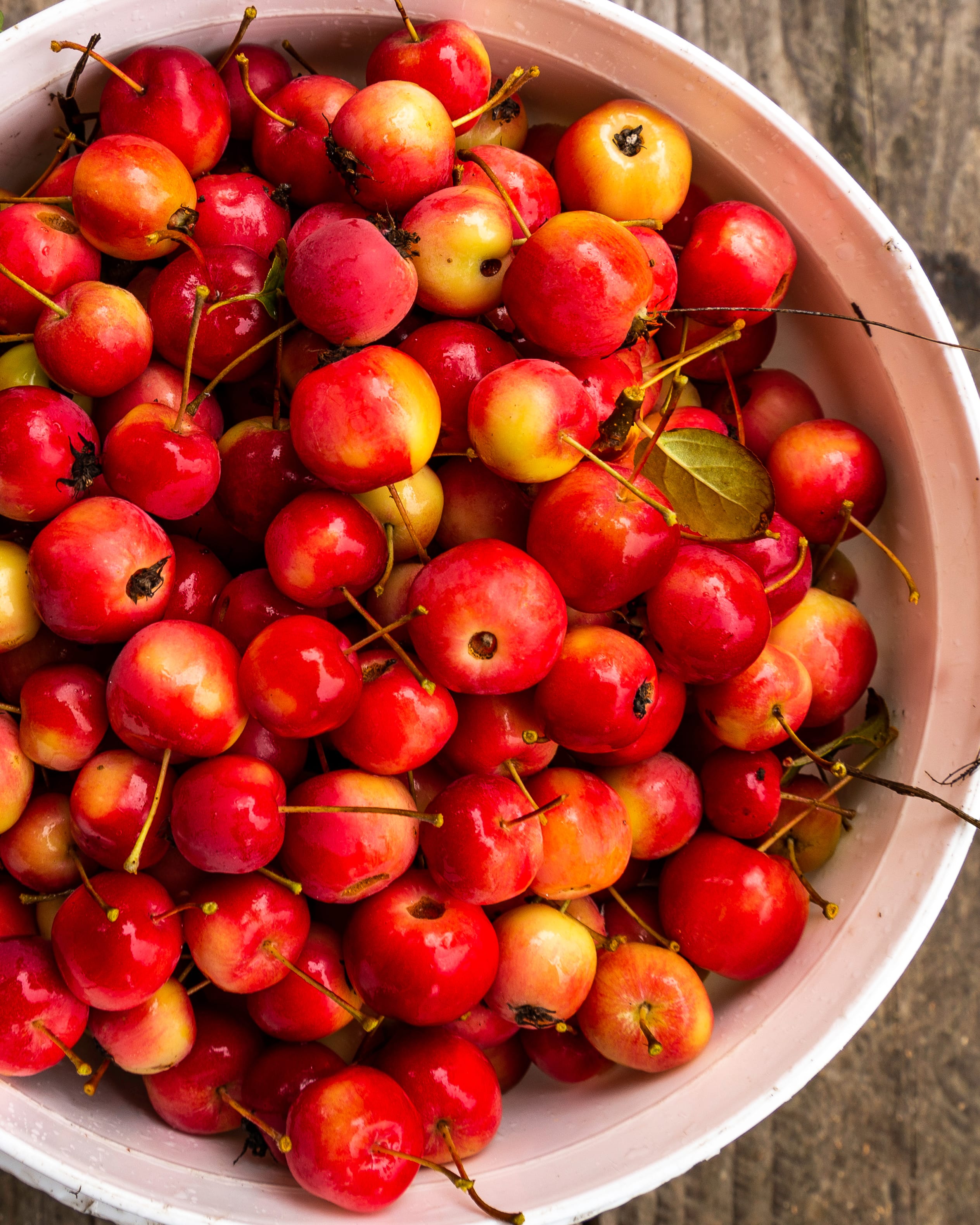 types of crab apples