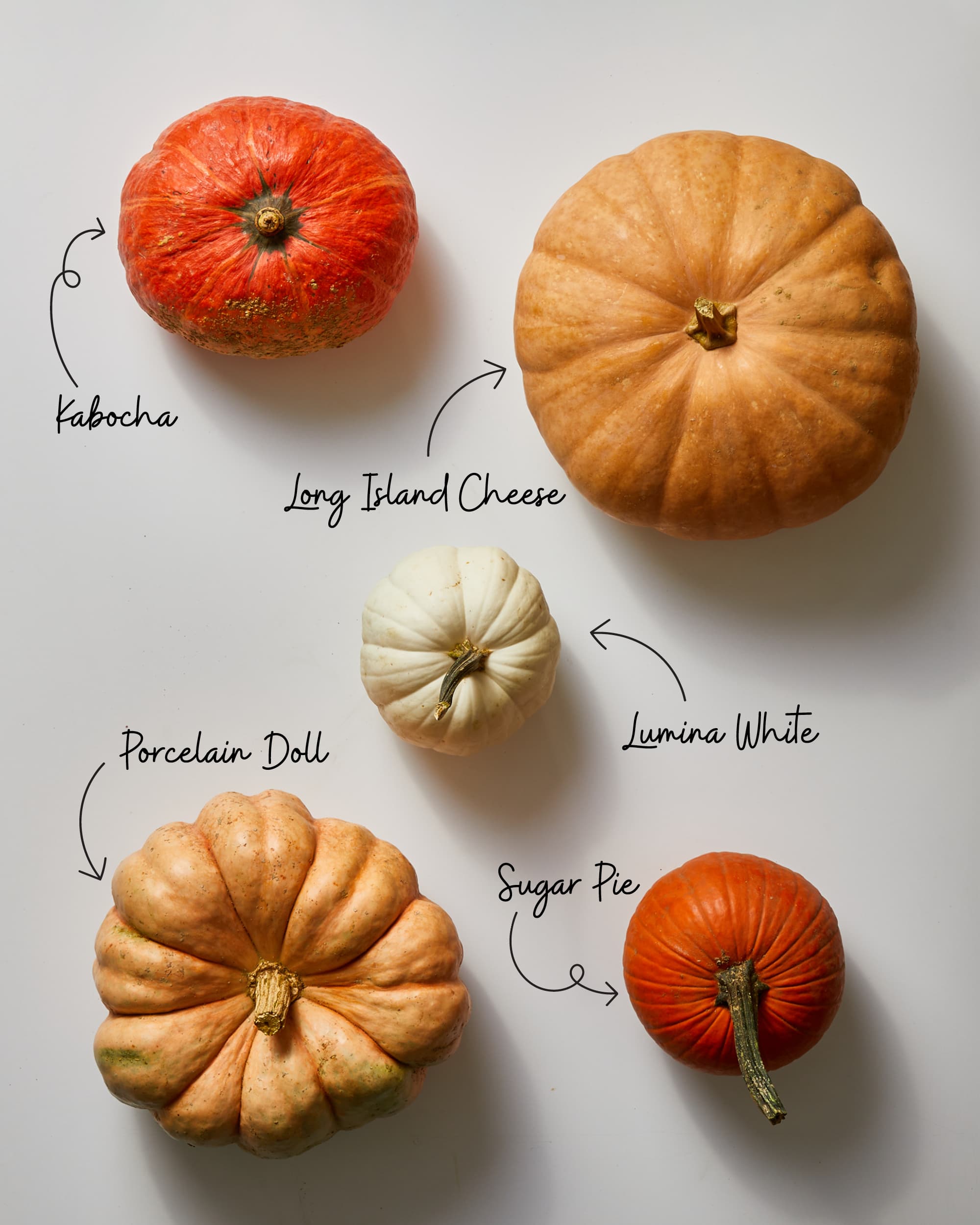 pie pumpkins varieties