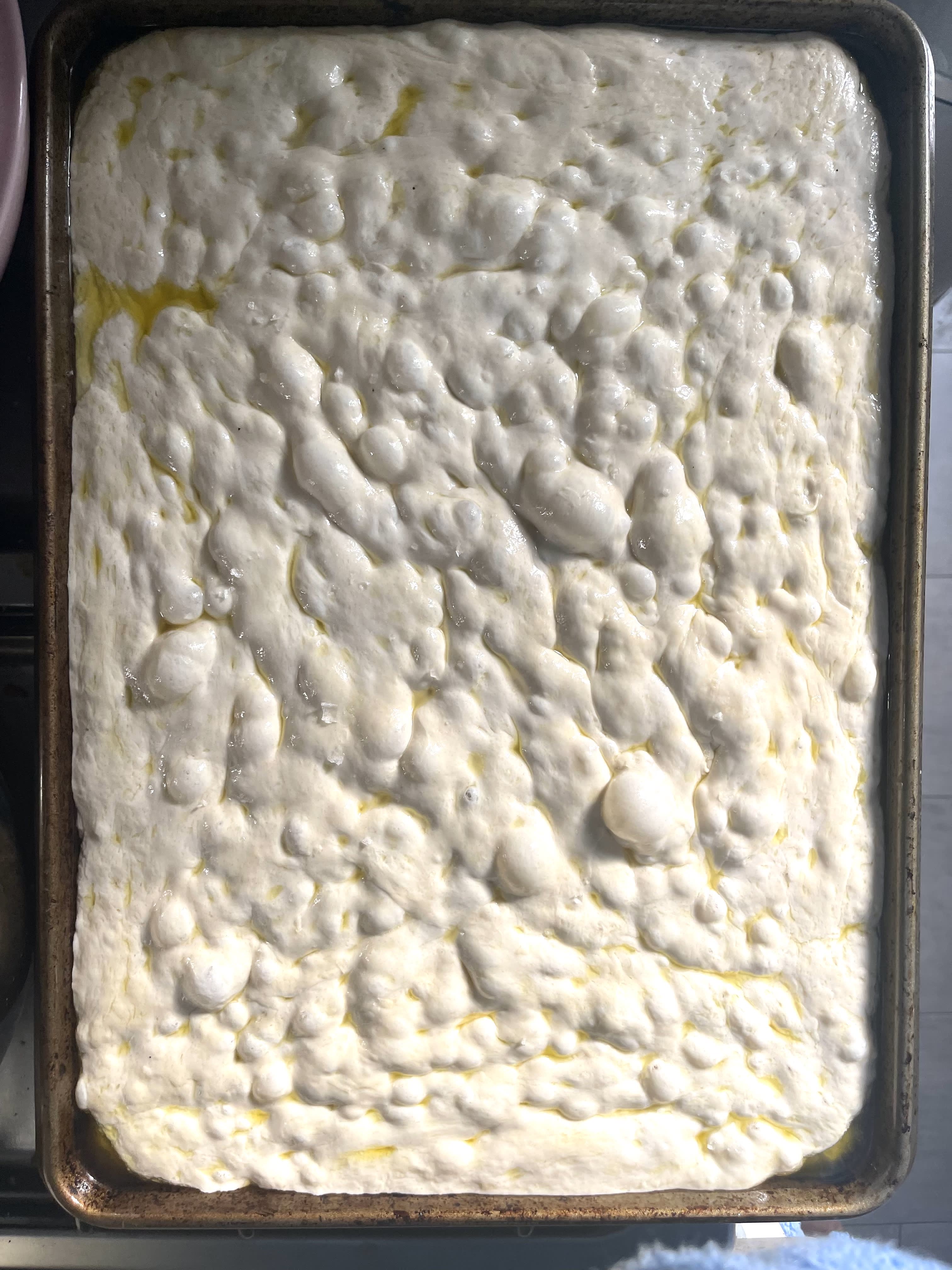 https://cdn.apartmenttherapy.info/image/upload/v1667577512/k/Photo/Recipes/2022-11-focaccia-tip-skills-post/malt_focaccia_4.jpg