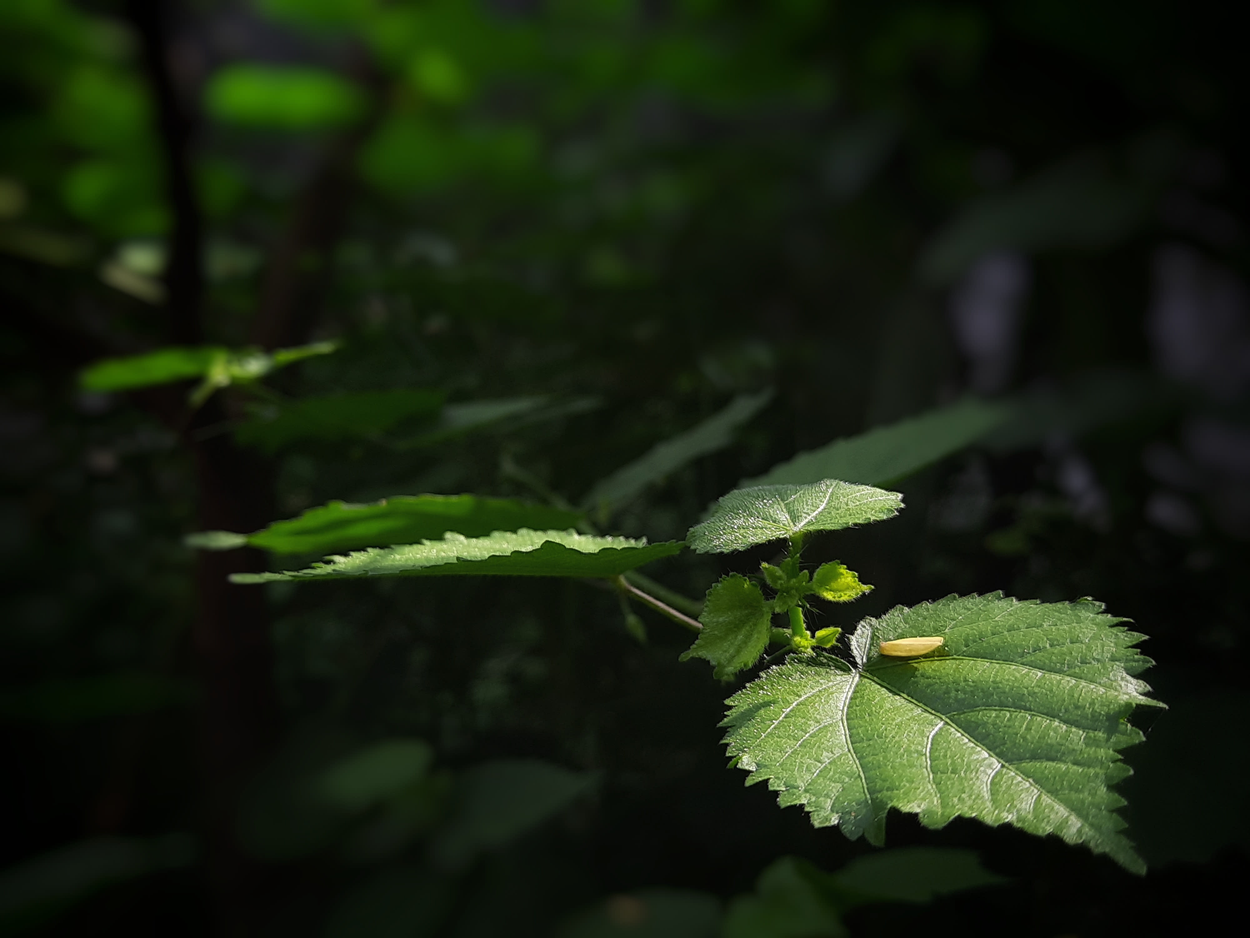 Gardening | Apartment Therapy