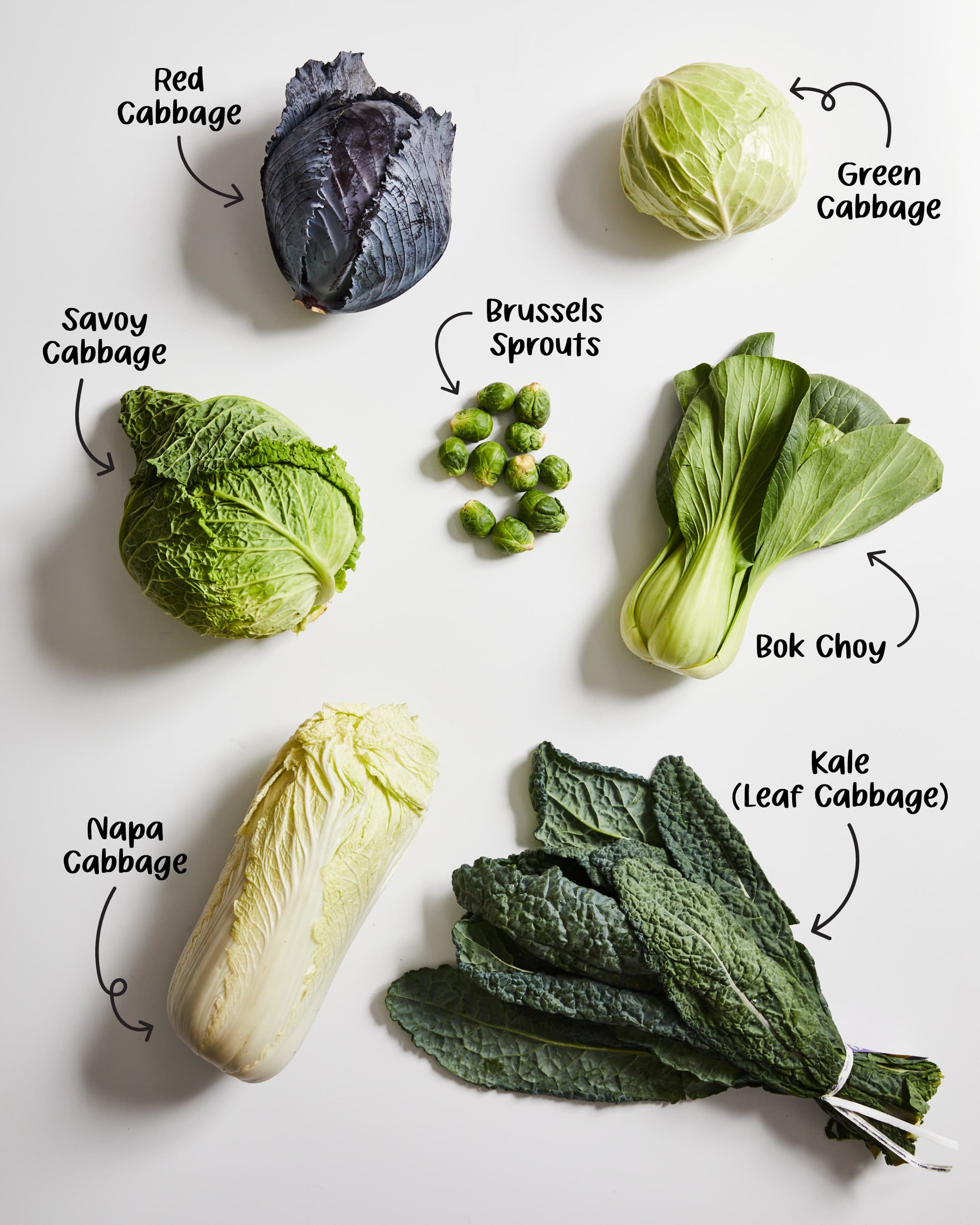 7 Different Types of Cabbage and How to Cook Them