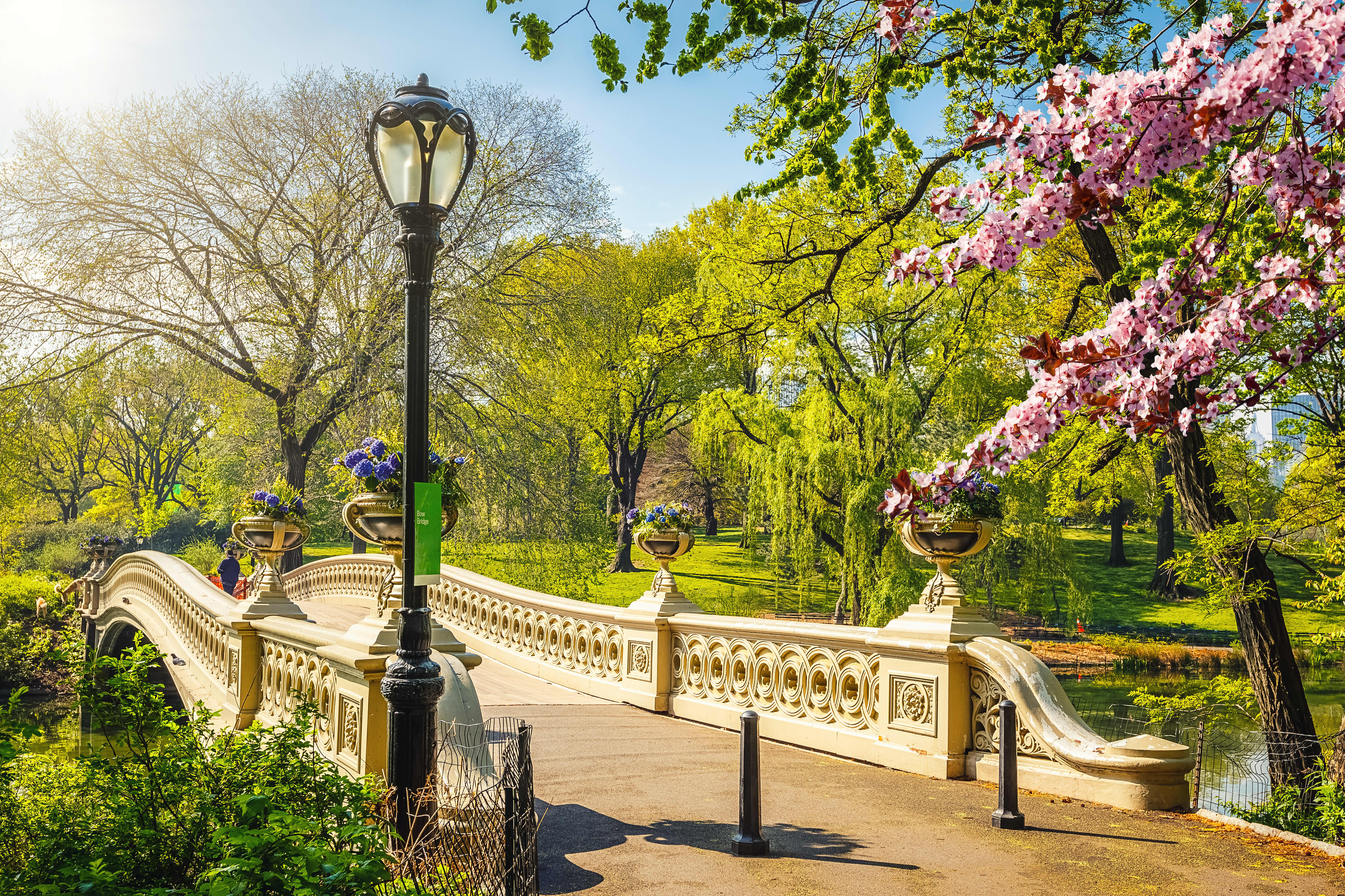 This Park Near NYC Has More Cherry Blossom Trees Than Washington