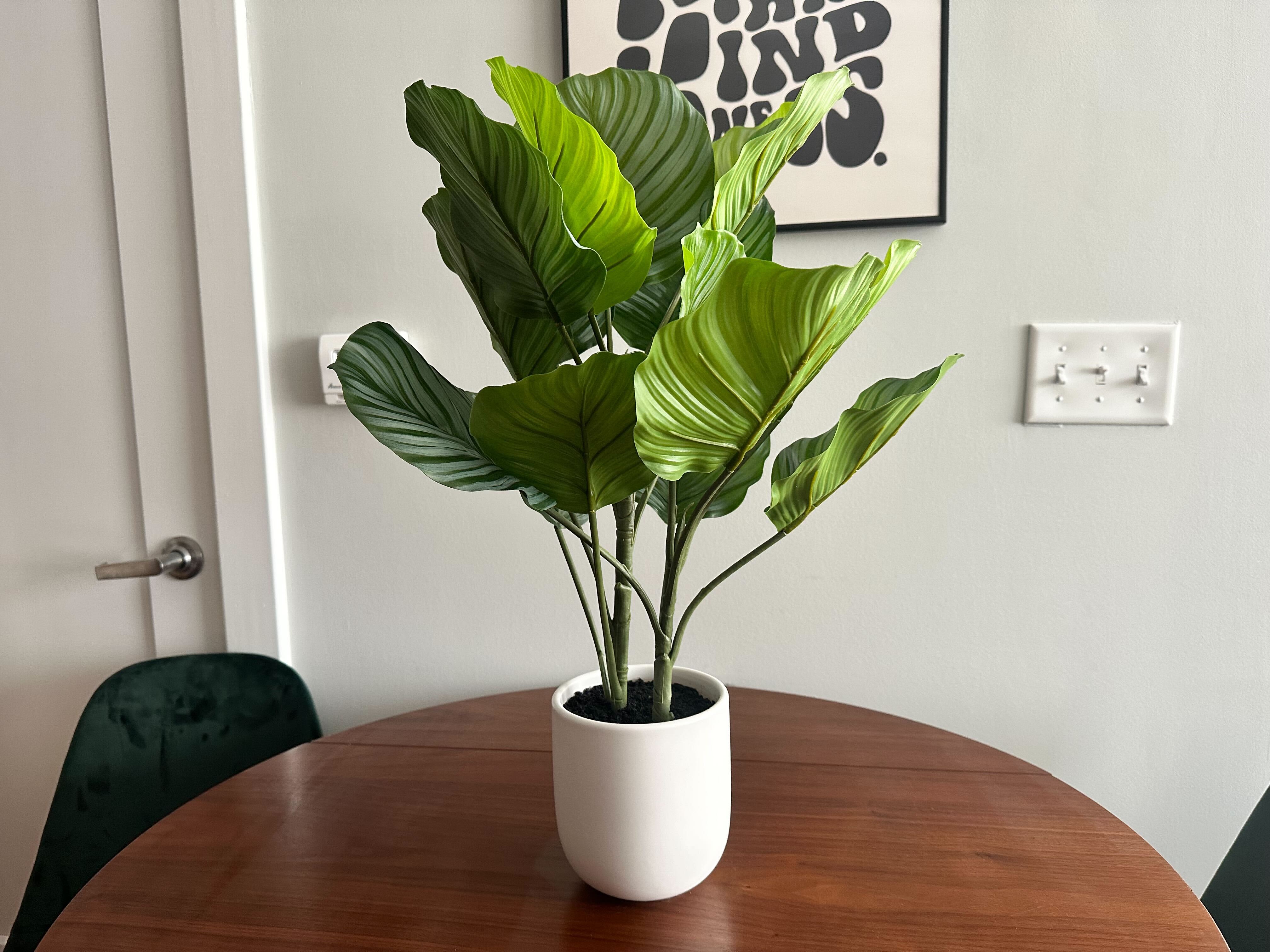 How to Make Fake Plants Look Real ⋆ Dream a Little Bigger