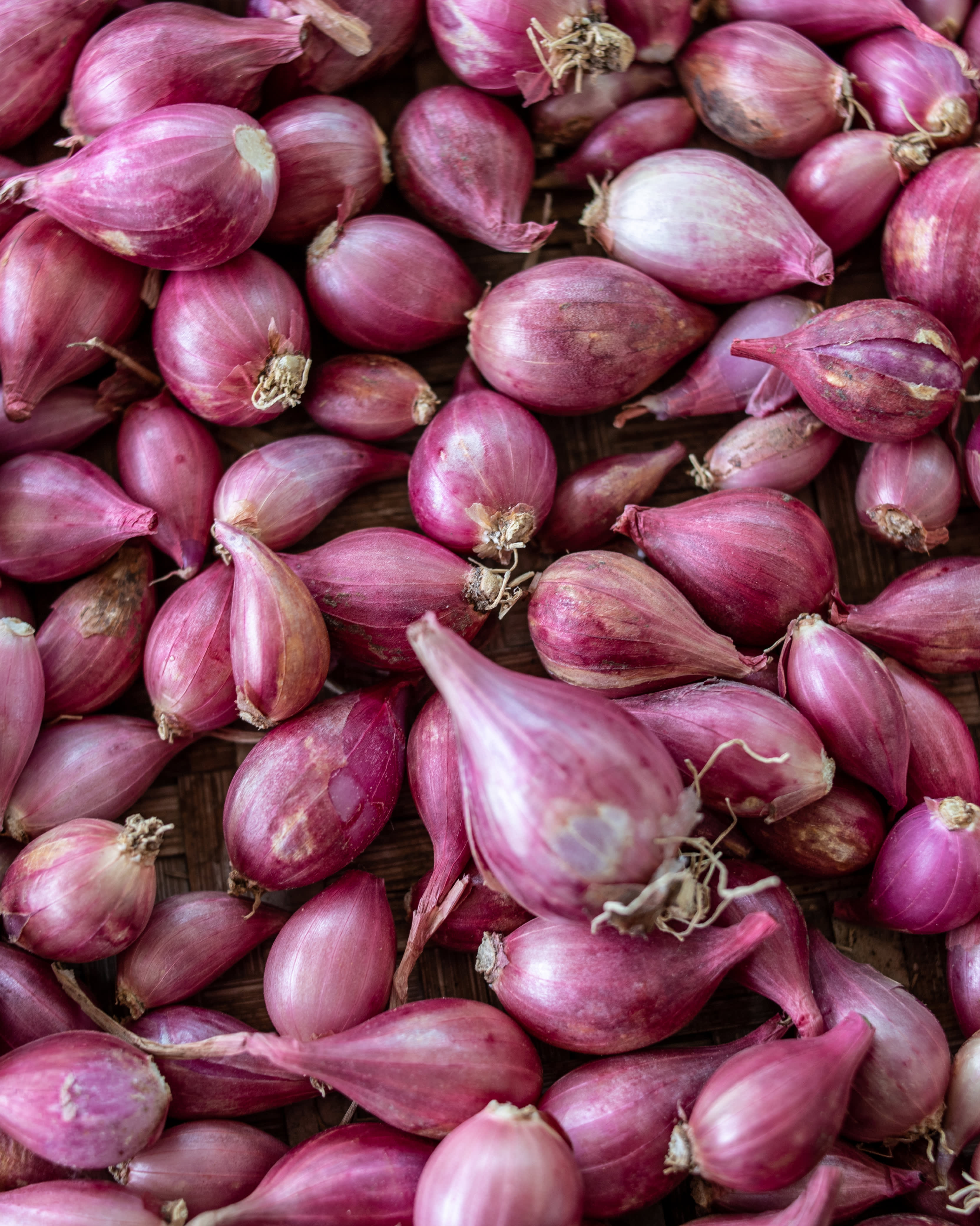 Close Up of Shallots or Red Spanish Onion Stock Image - Image of