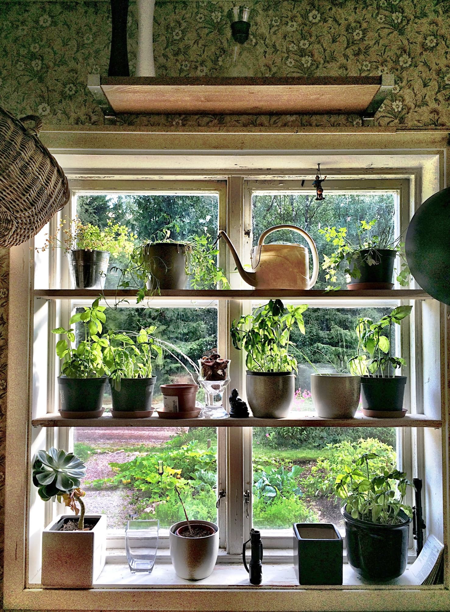 How to Make Your Own Kitchen Window Herb Garden | The Kitchn, image size:1477x2007
