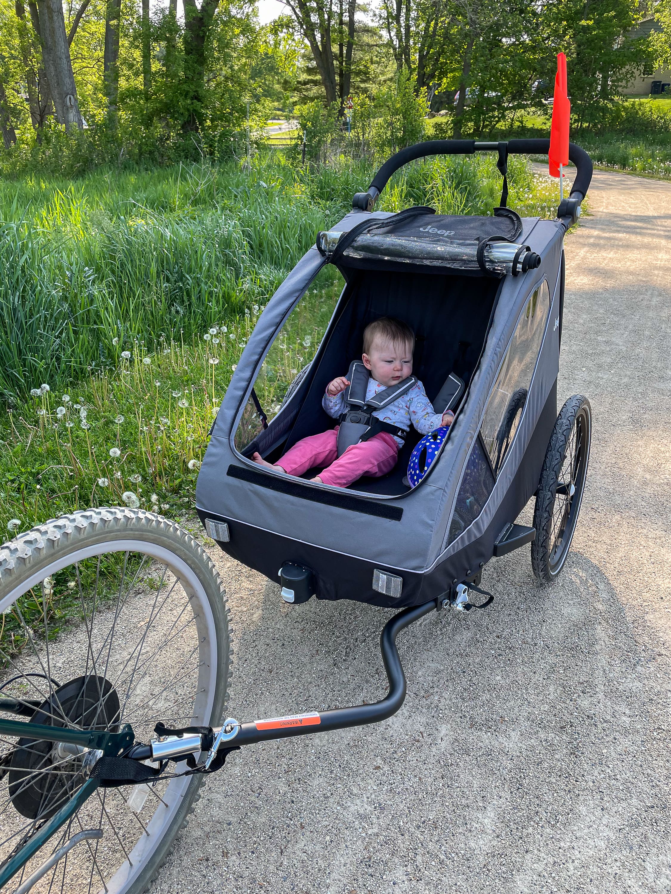 How to Bike with Young Kids - 8 Ways to Haul Kids with Your Bike!