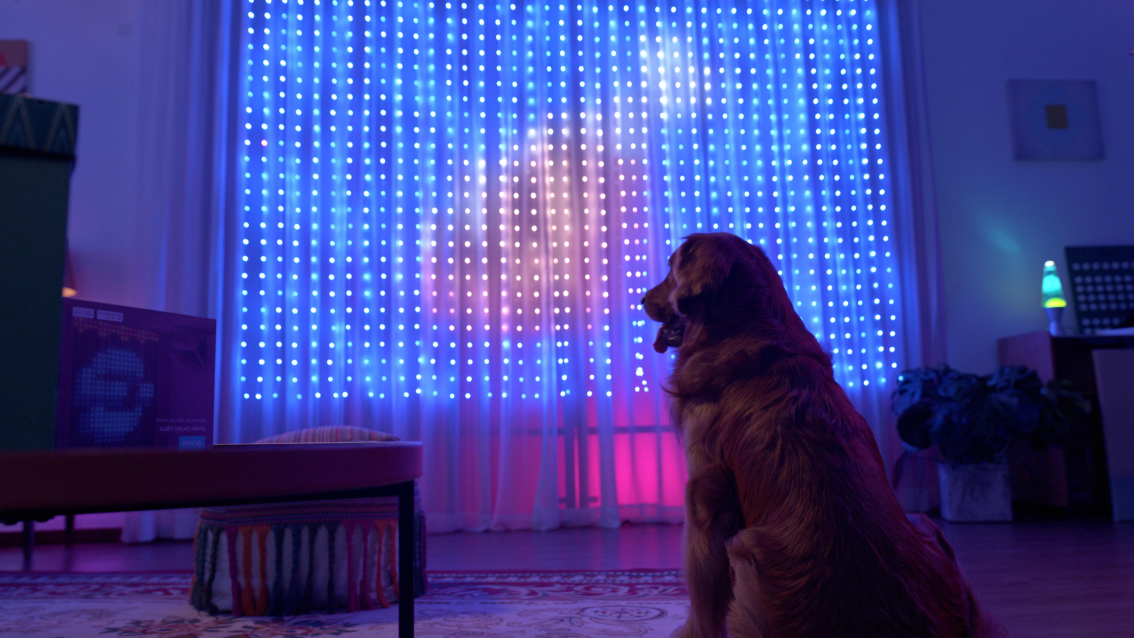 This Smart Light Curtain Lets You Change Your Style as Often as You Change  Your Era