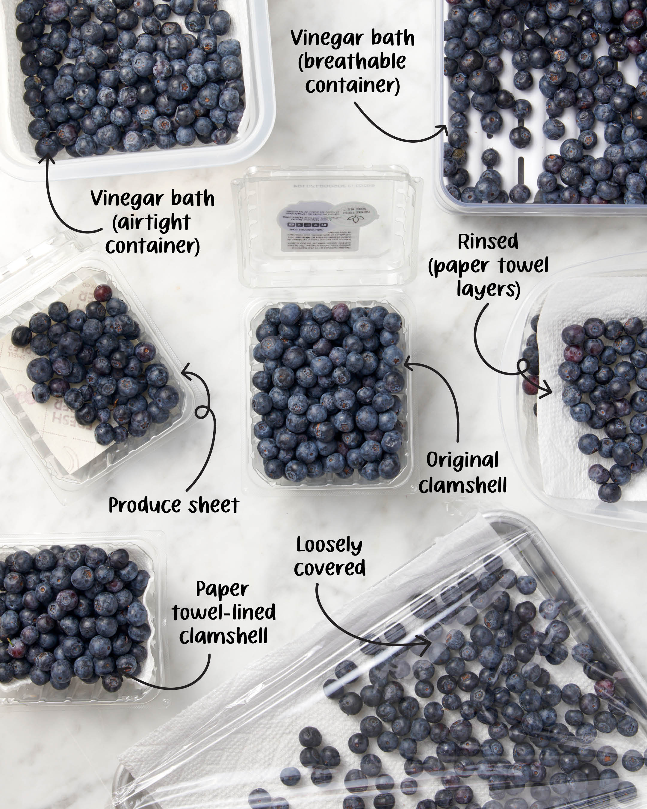 Blueberries blu Kitchen Food Storage Covers (Set of 3