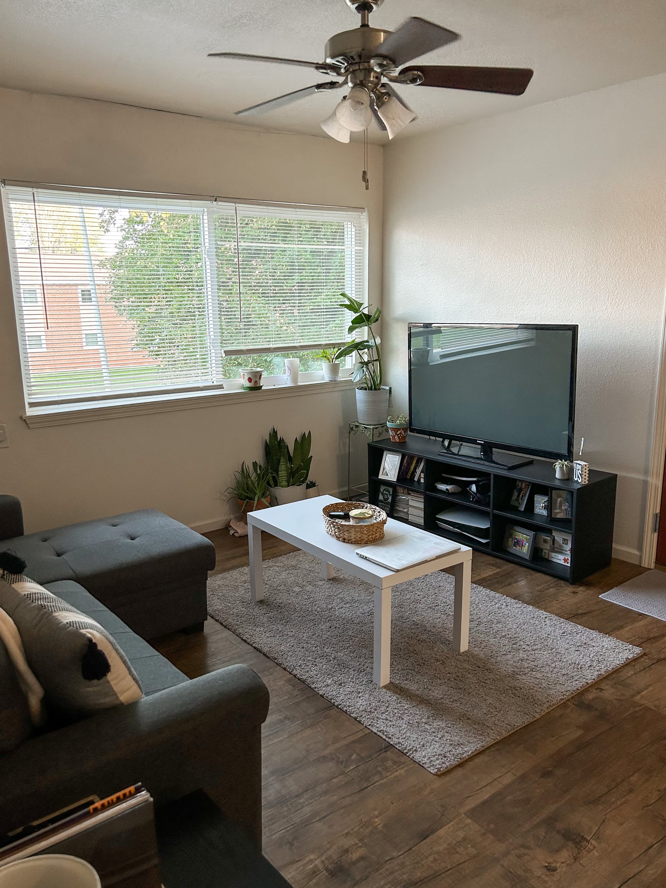 Dorm Tours Dorm Therapy