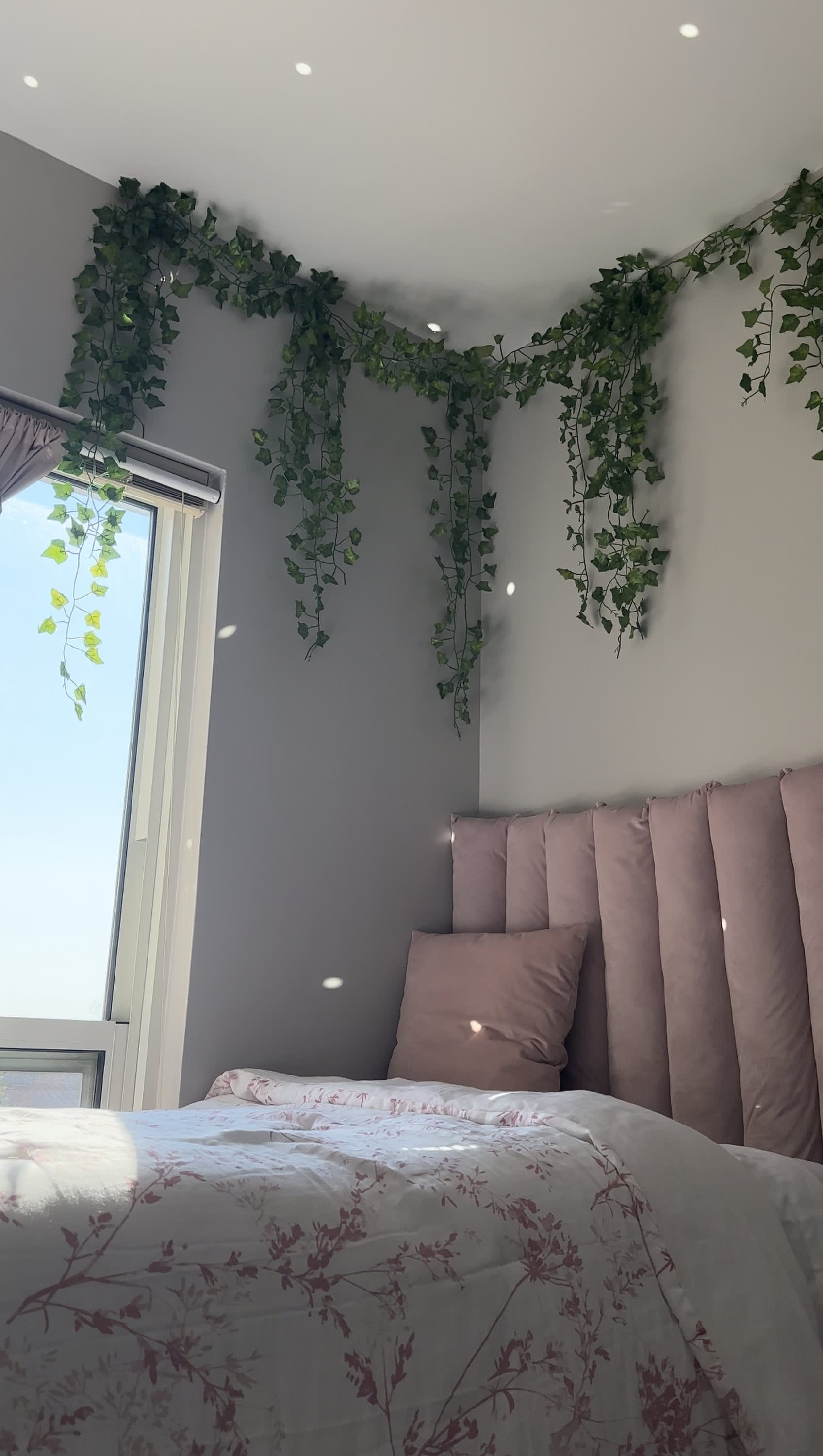 Dorm Tours Dorm Therapy